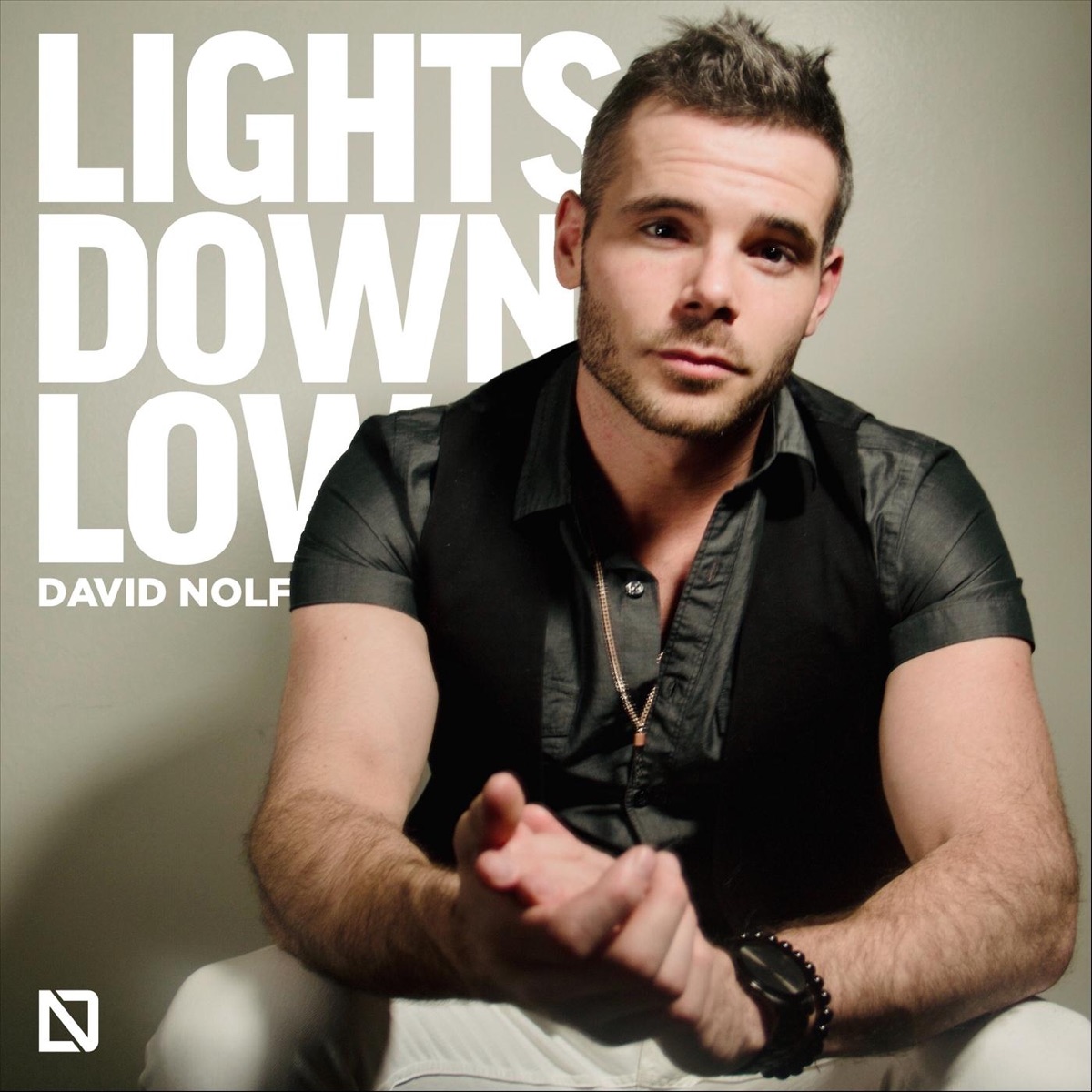 Lights Down Low - Single by David Nolf album cover