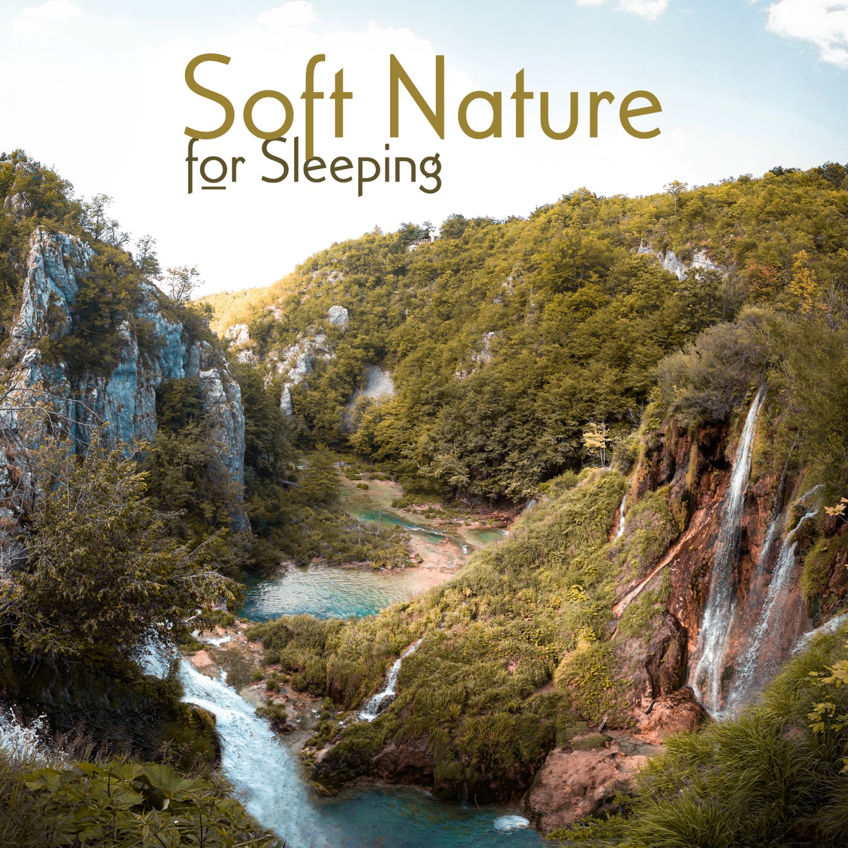 Soft Nature for Sleeping: Music Therapy, Stress Relief, Effective Sleep Session by Peaceful Sleep Music Collection & Relaxing Nature Sounds Collection album cover
