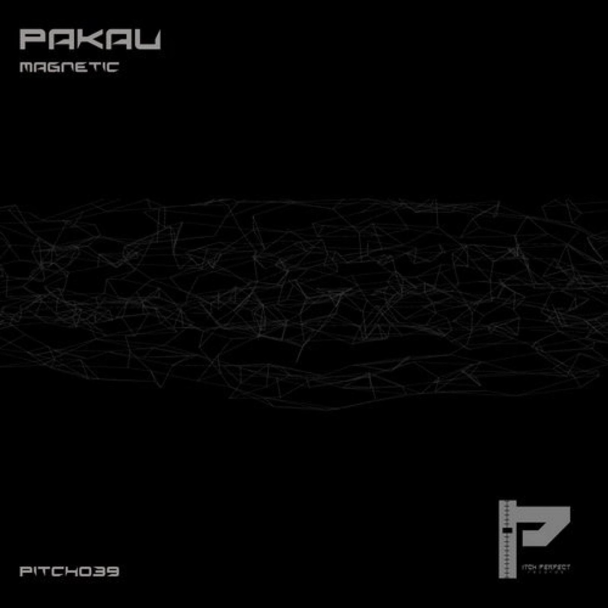 Magnetic - Single by Pakau album cover