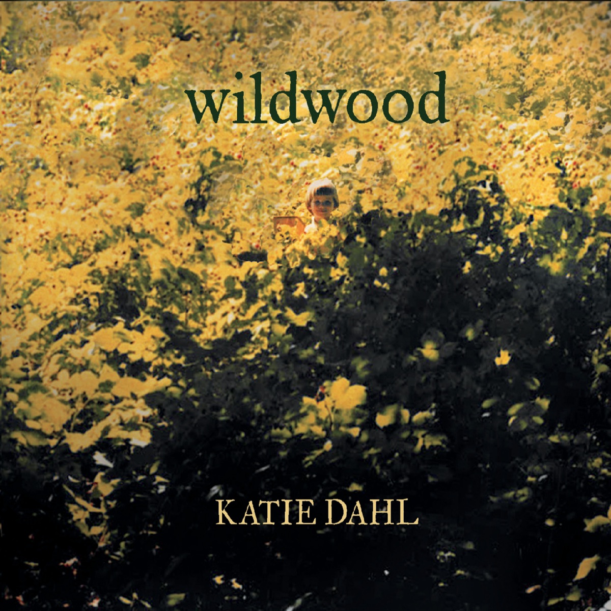 Wildwood by Katie Dahl album cover