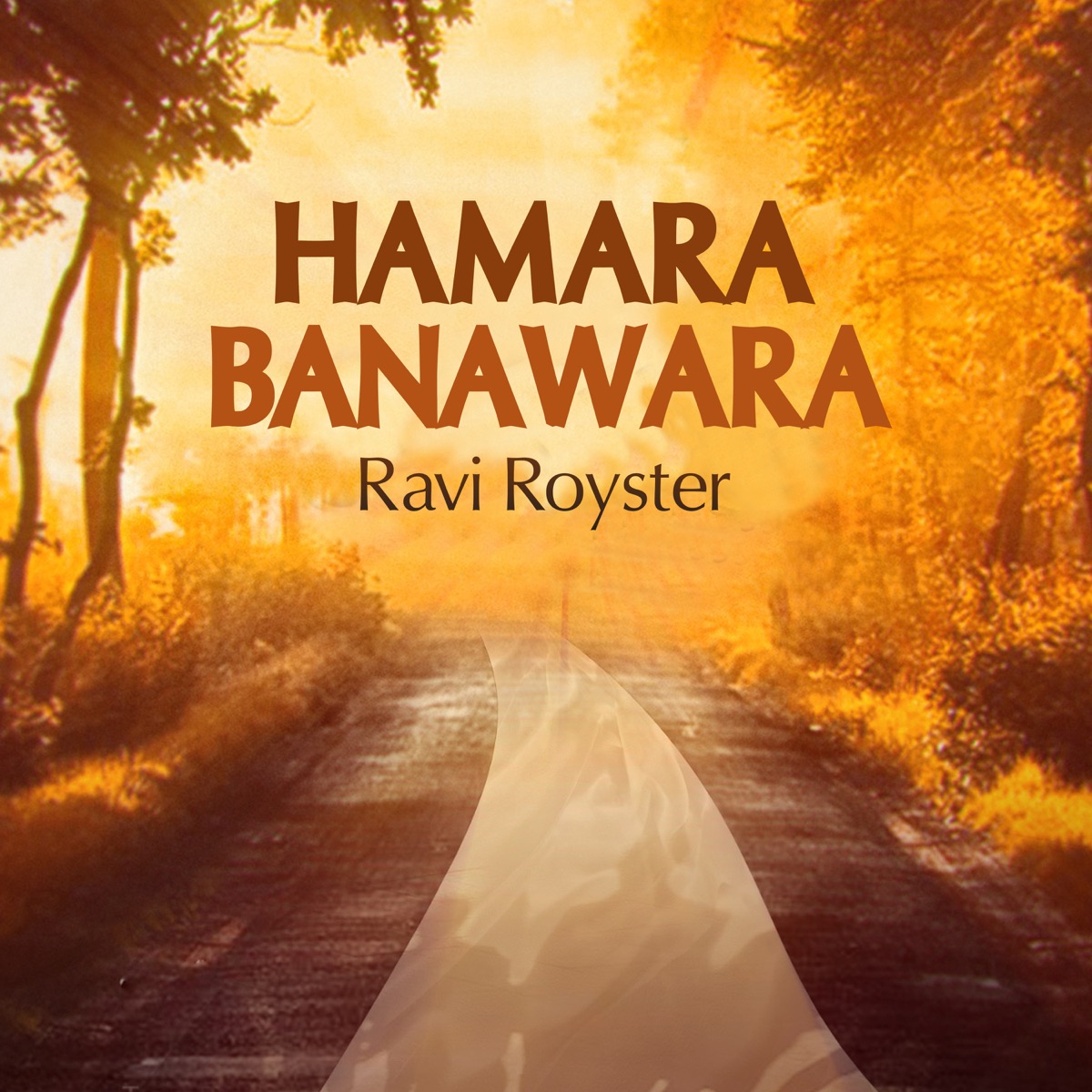 Hamara Banavara - Single by Ravi Royster album cover