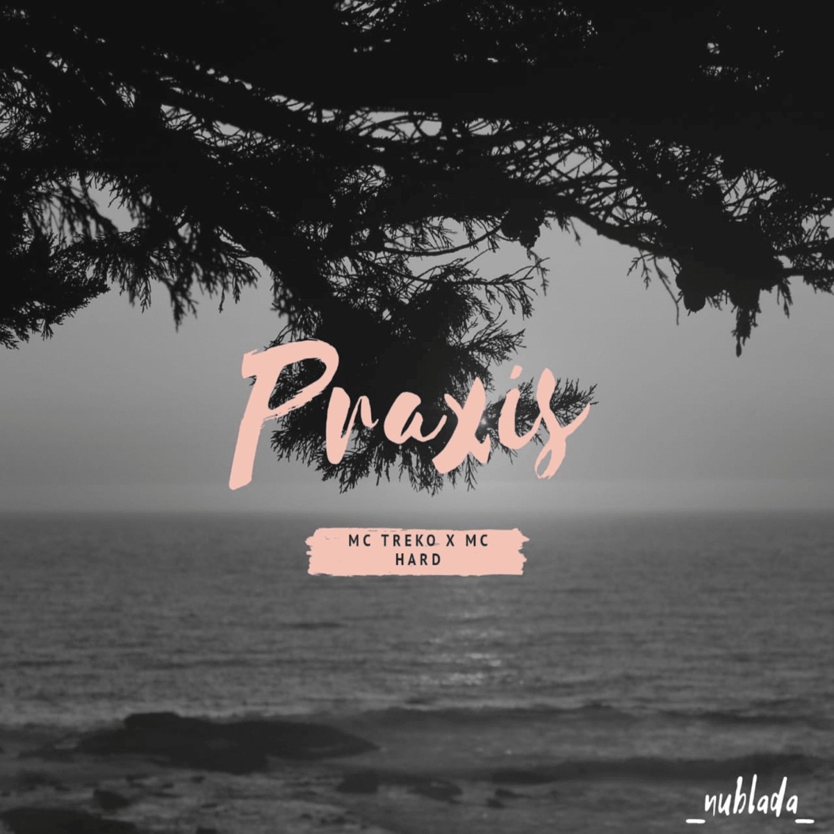 Praxis (feat. Mc Hard) - Single by Mc Treko album cover
