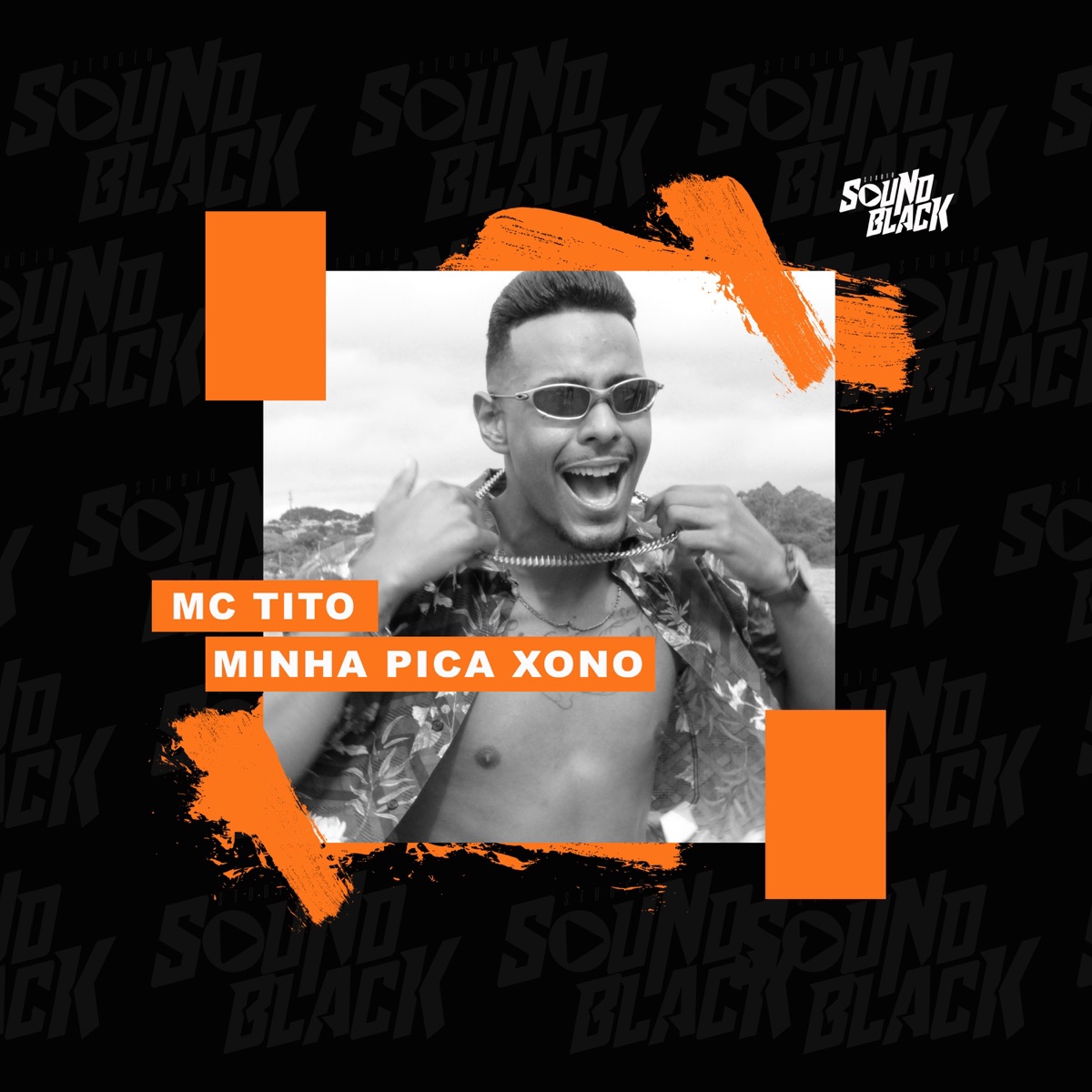 Minha Pica Xono - Single by Mc Tito album cover