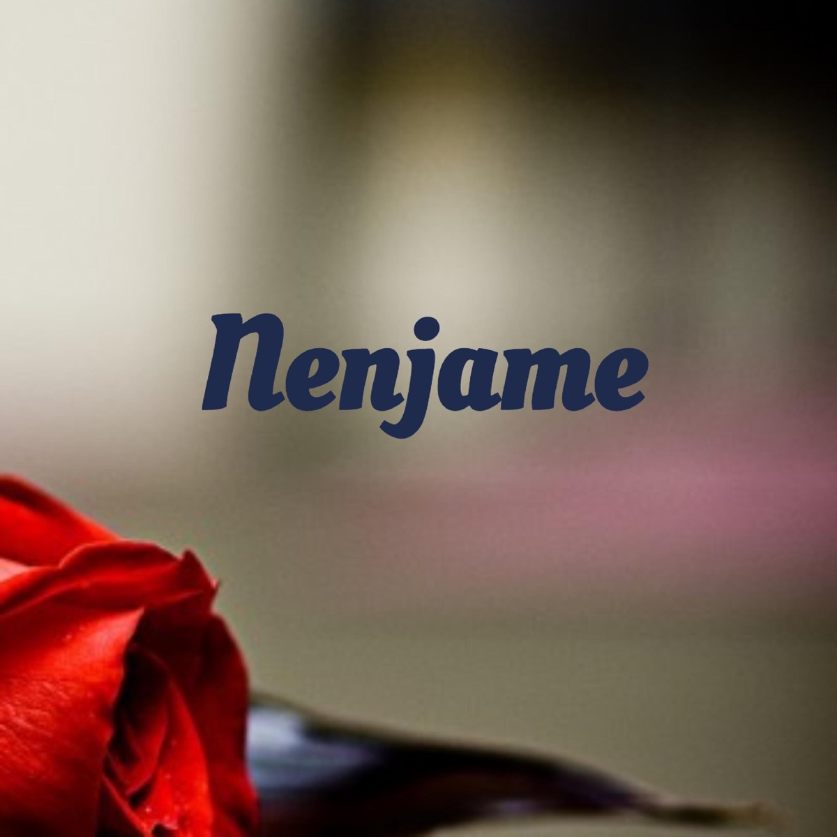Nenjame (feat. Sudharsan Ram, Lalitha Ramakrishnan & Hyde Karty) - Single by Varun Raghavan & Saikrishnan album cover