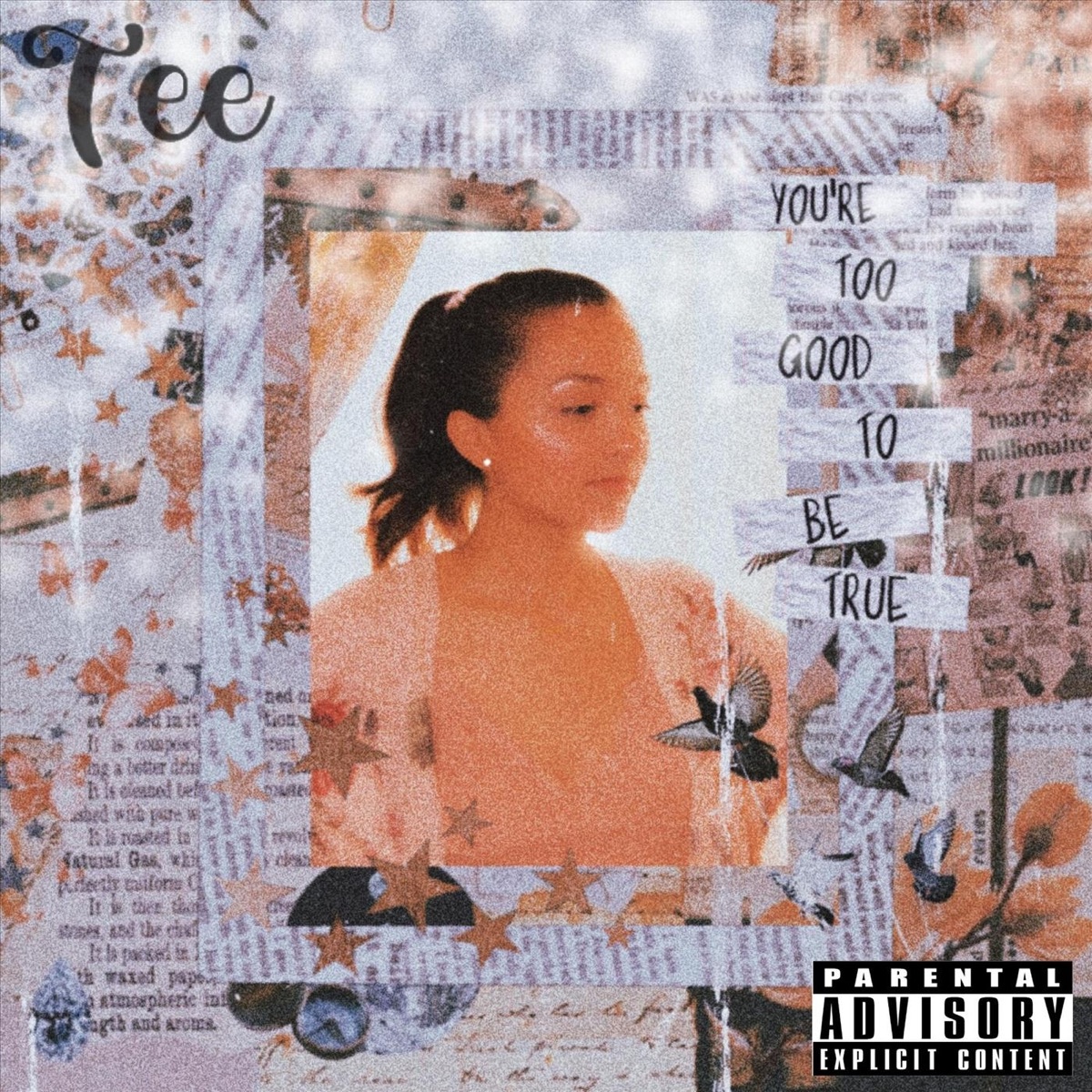 You're Too Good to Be True by TEE album cover