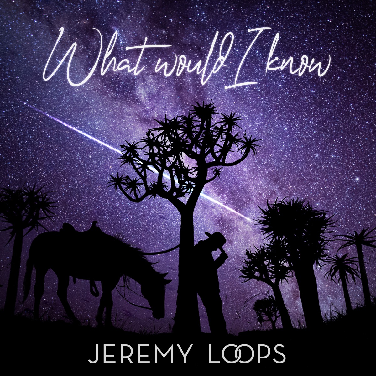 What Would I Know - Single by Jeremy Loops album cover