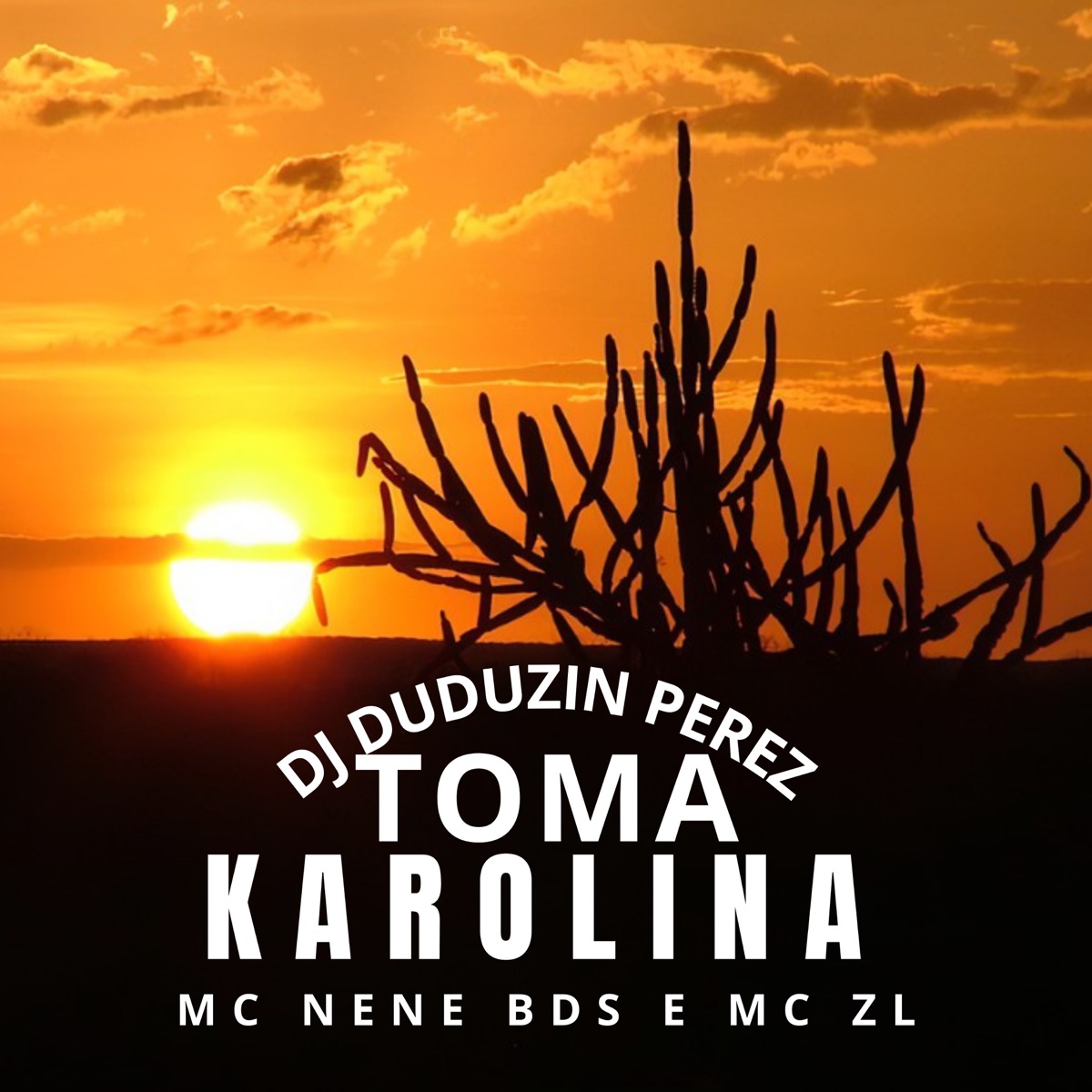 Toma Karolina (feat. MC ZL & Mc Nenê BDS) - Single by DJ Duduzin Perez album cover