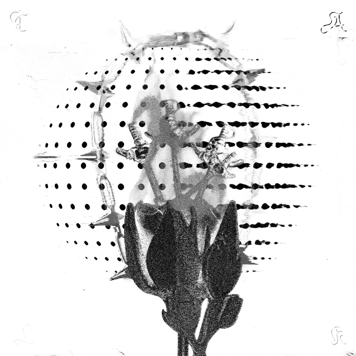 Talk - Single by Hush. & Hudson Alexander album cover