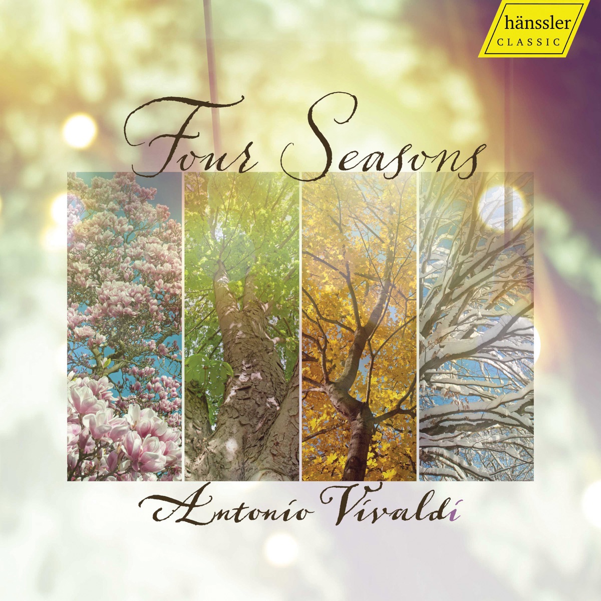 4 Seasons by Iona Brown & Academy of St Martin in the Fields album cover