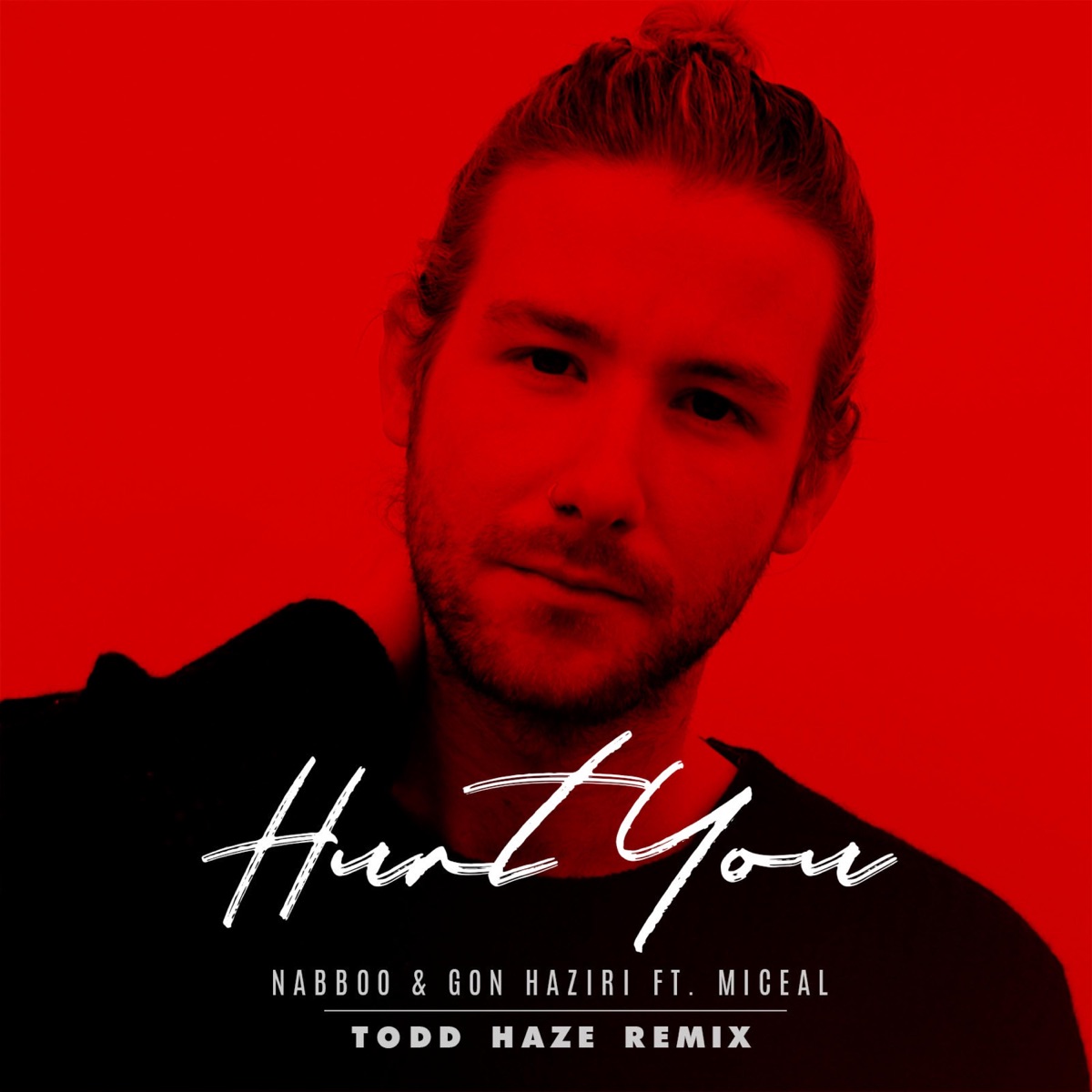 Hurt You (feat. Miceal) [Todd Haze Remix] - Single by naBBoo & Gon Haziri album cover