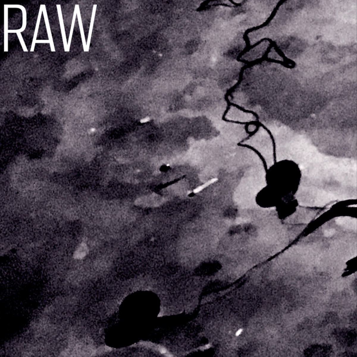 Raw - Single by VTB album cover