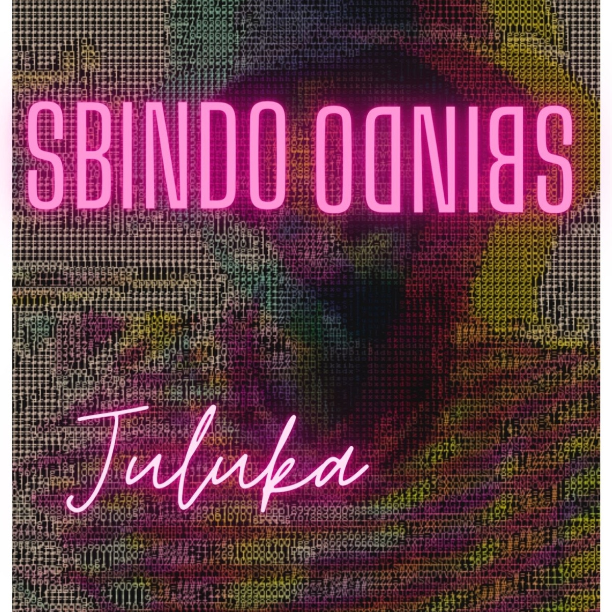 Juluka - Single by Pro-T album cover