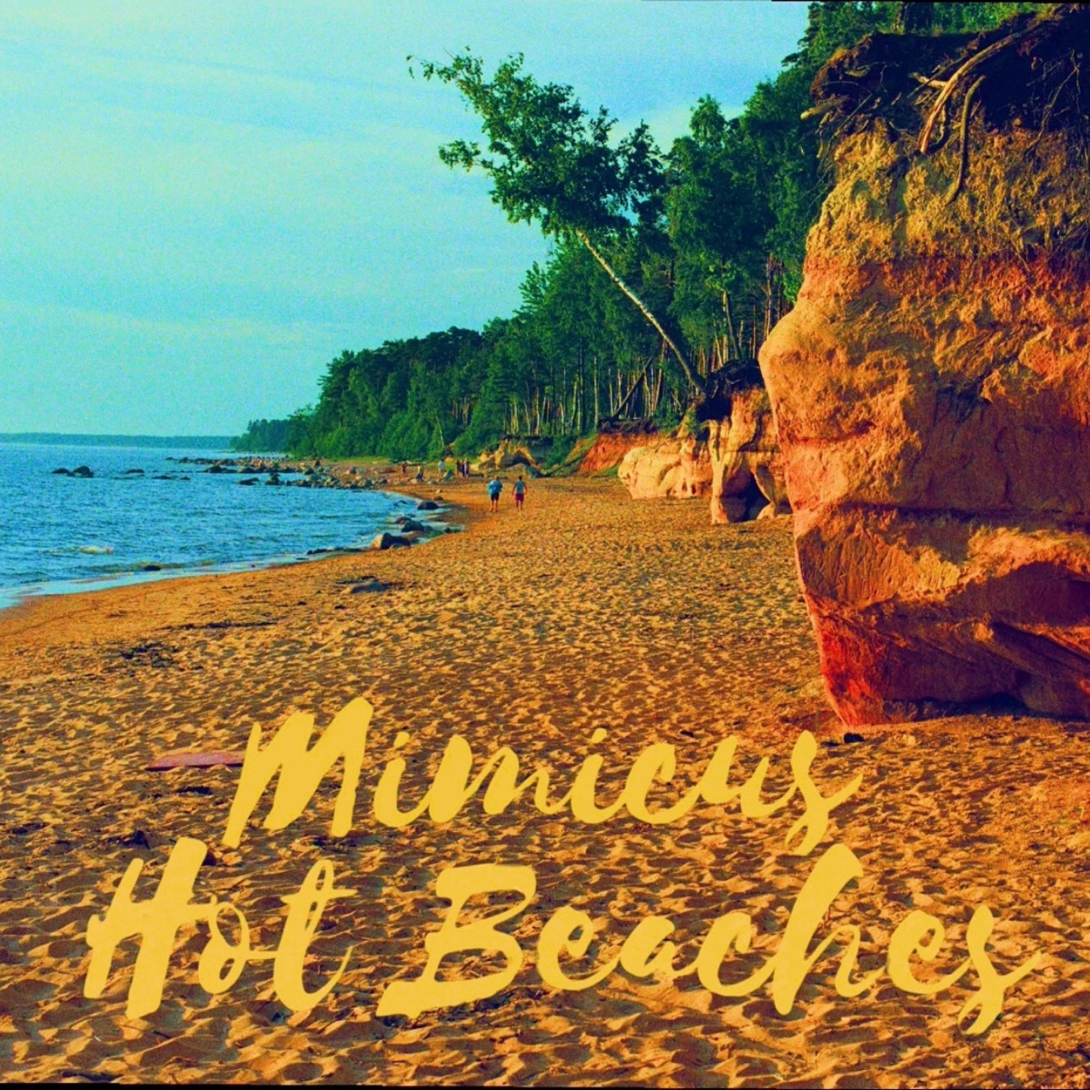 Hot Beaches - Single by Mimicus album cover
