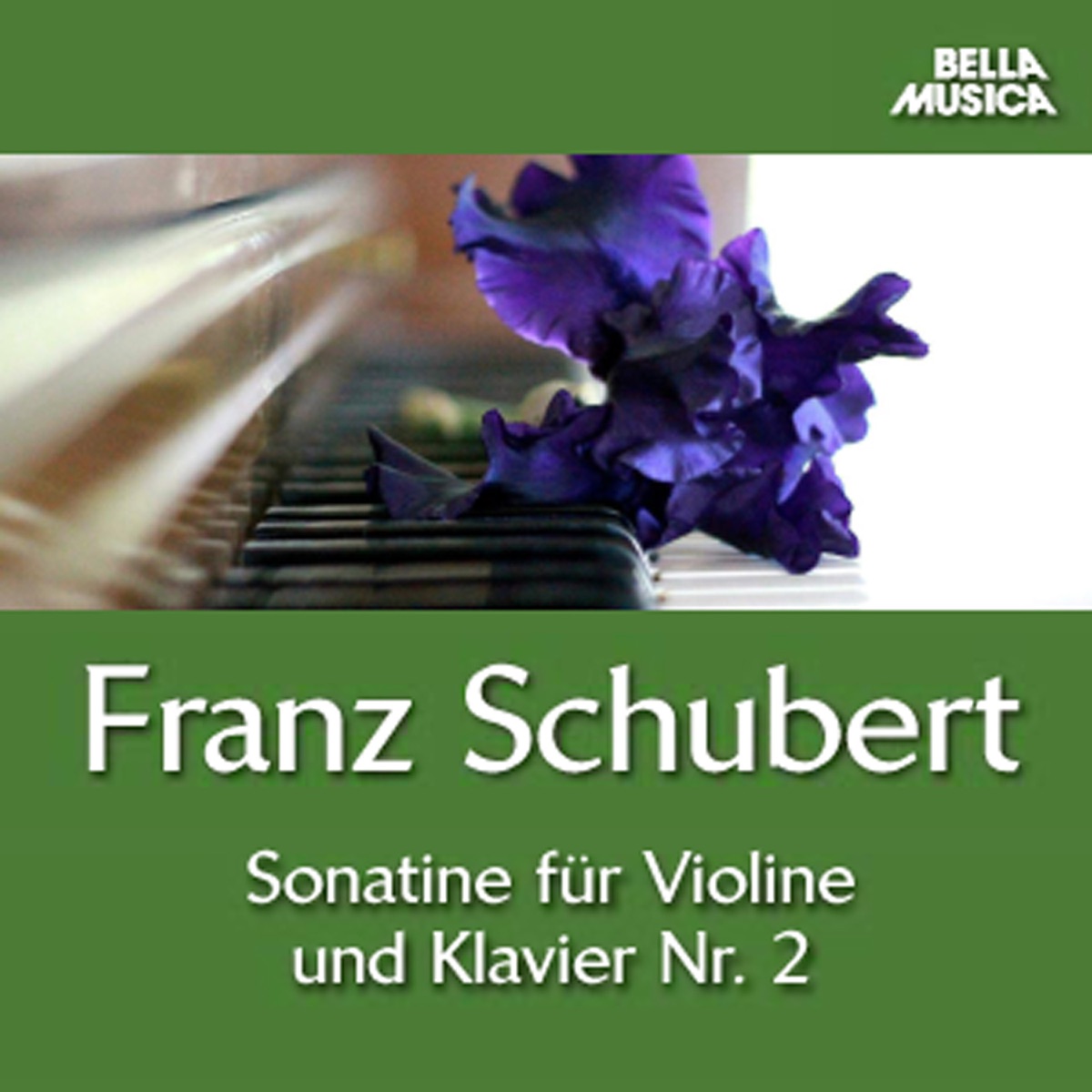 Schubert: Sonatine No. 2 - Trio No. 1 by Evgueni Bushkov, Leonid Block & Fortepianotrio Florestan album cover