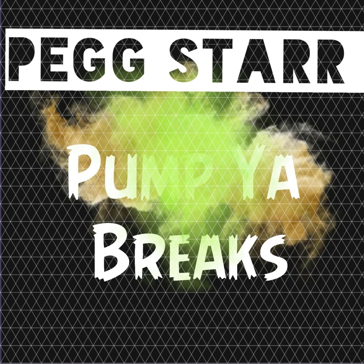 Pump Ya Breaks - Single by Pegg Starr album cover