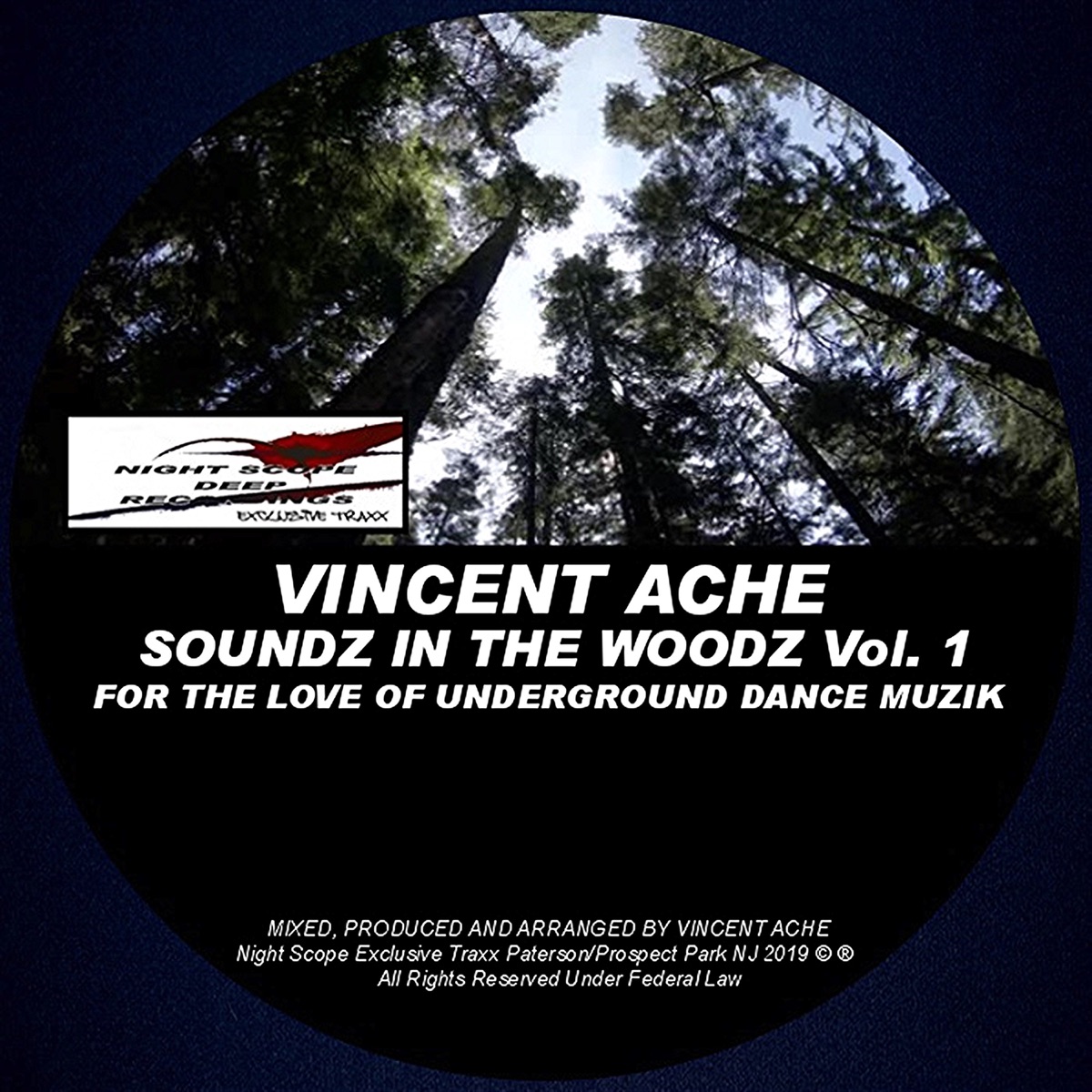 Soundz In the Woodz, Vol. 1 - Single by Vincent Ache album cover
