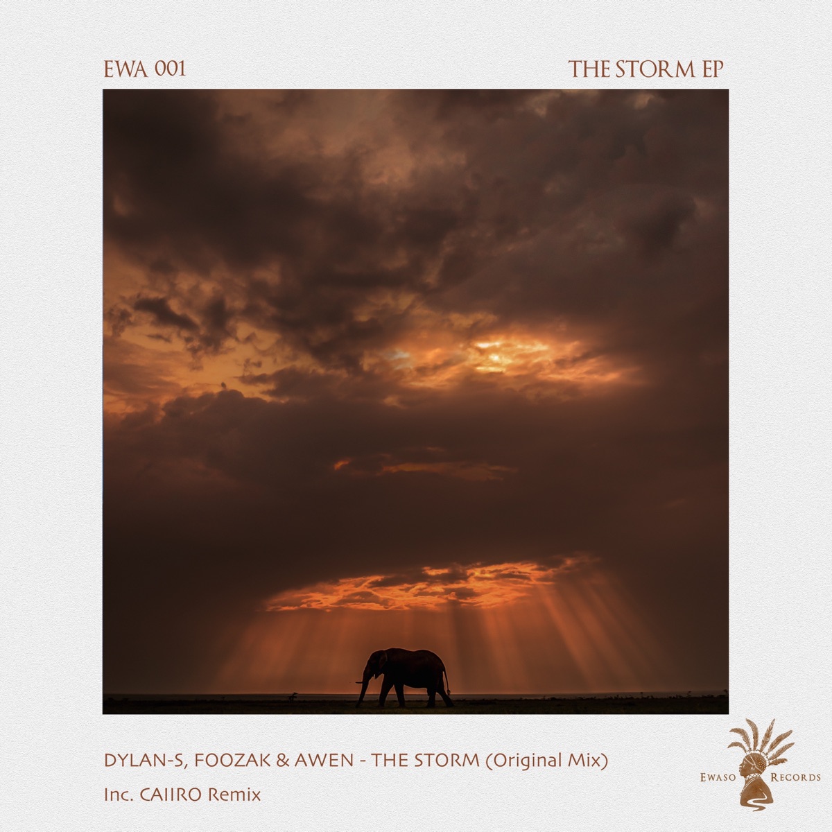 The Storm - Single by Dylan-S, Foozak & AWEN album cover