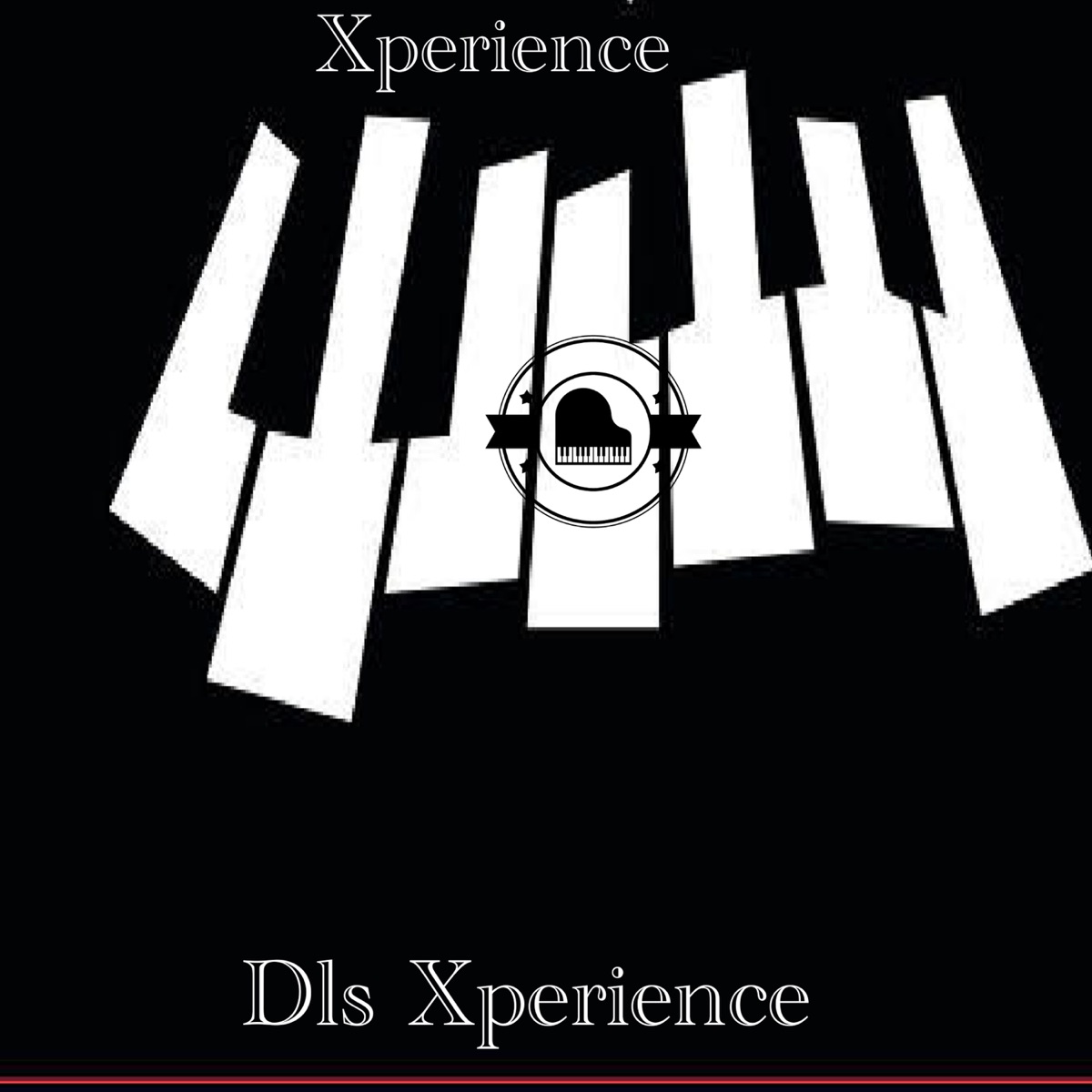 Xperience by Dls Xperience album cover
