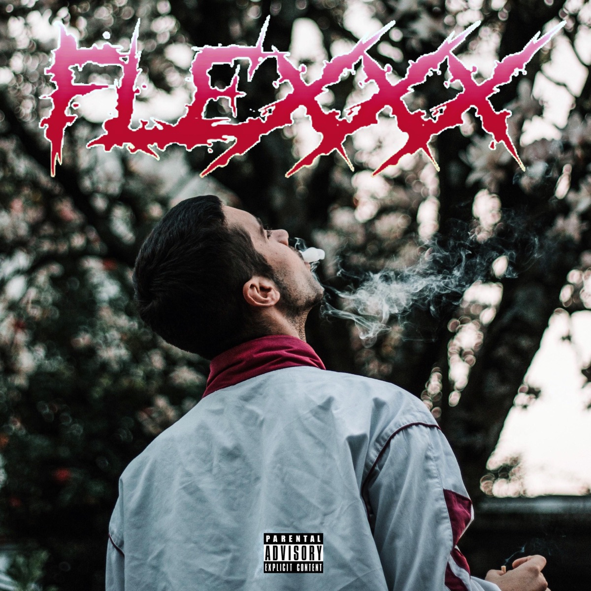 Flexxx - Single by Jhes album cover
