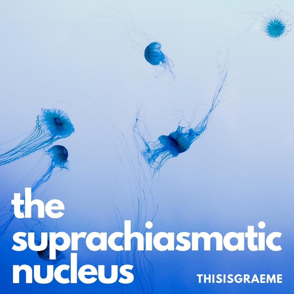 The Suprachiasmatic Nucleus - Single by Thisisgraeme album cover