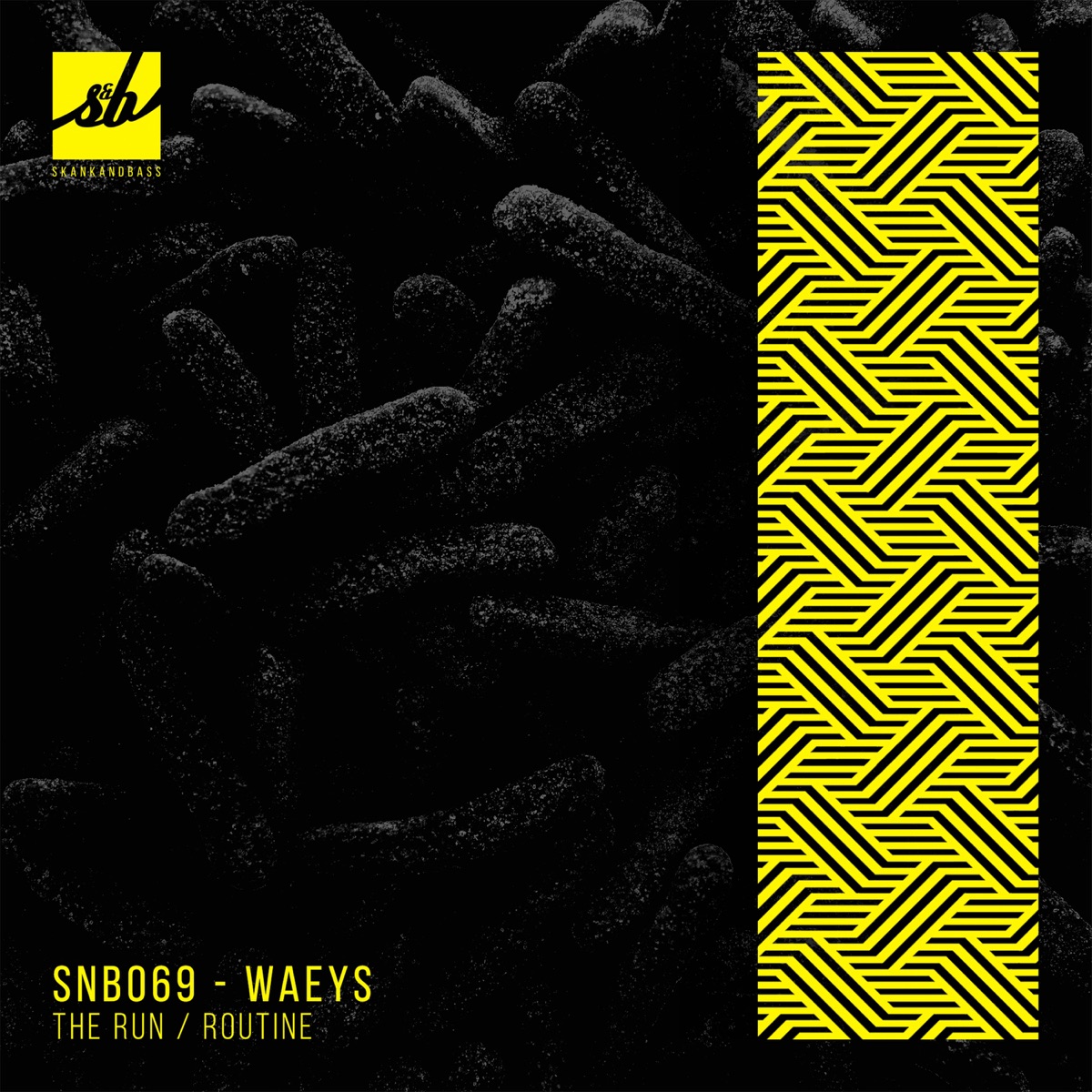 The Run / Routine - Single by Waeys album cover