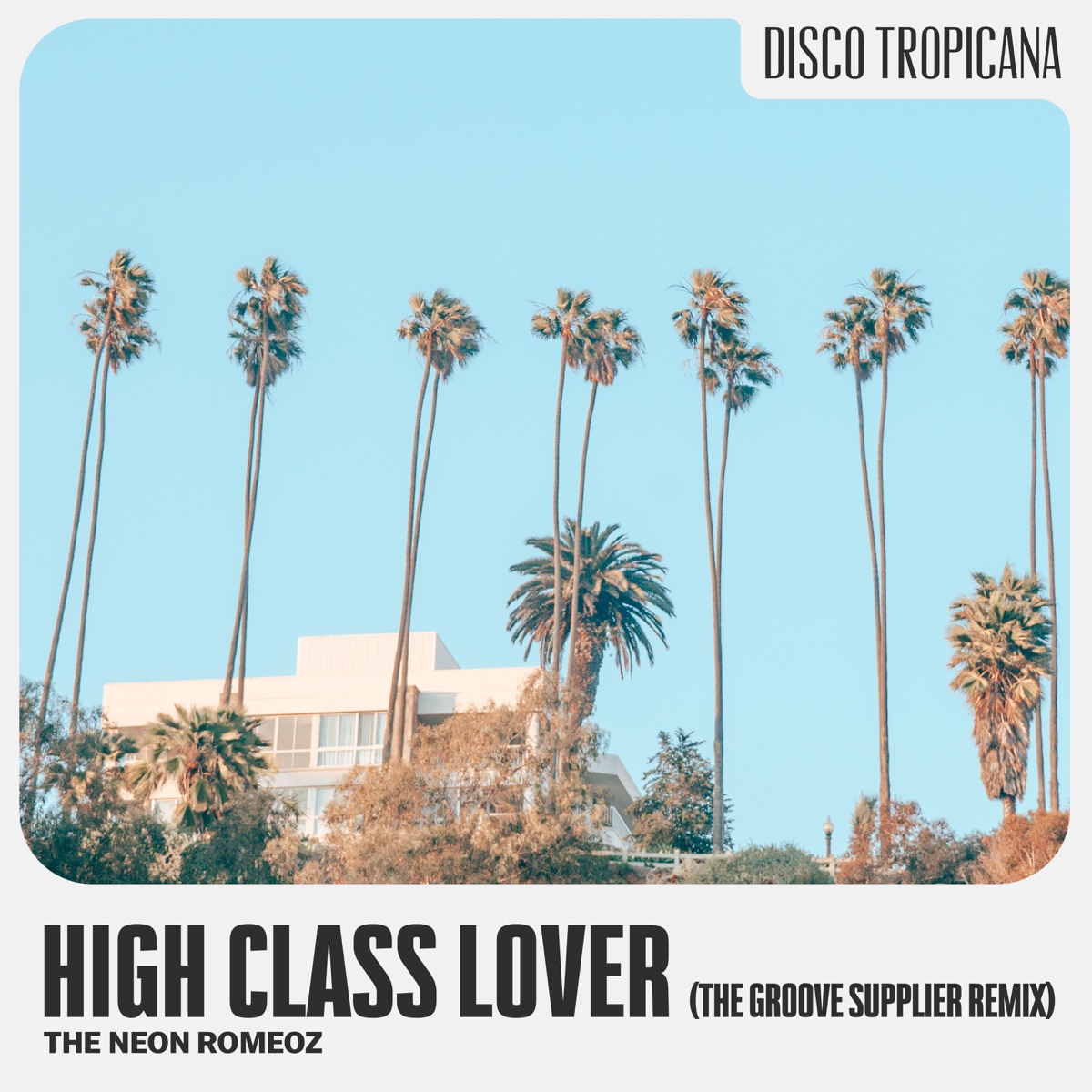 High Class Lover (feat. Jason Peterson DeLaire & St. Paul Peterson) [The Groove Supplier Remix] - Single by The Neon Romeoz & Andreas Lundstedt album cover