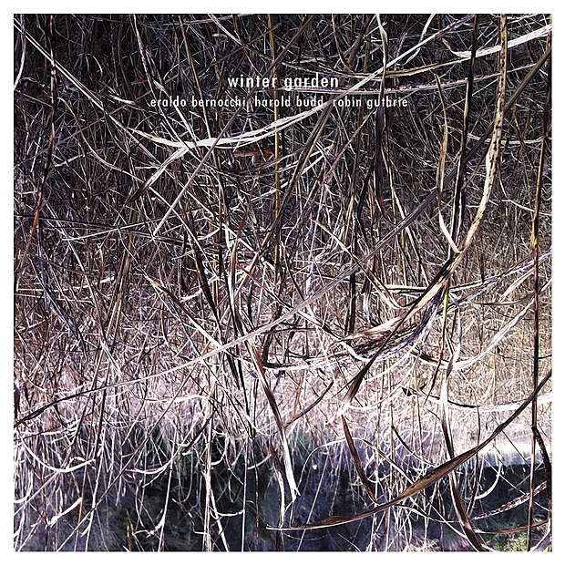 Winter Garden by Eraldo Bernocchi, Harold Budd & Robin Guthrie album cover