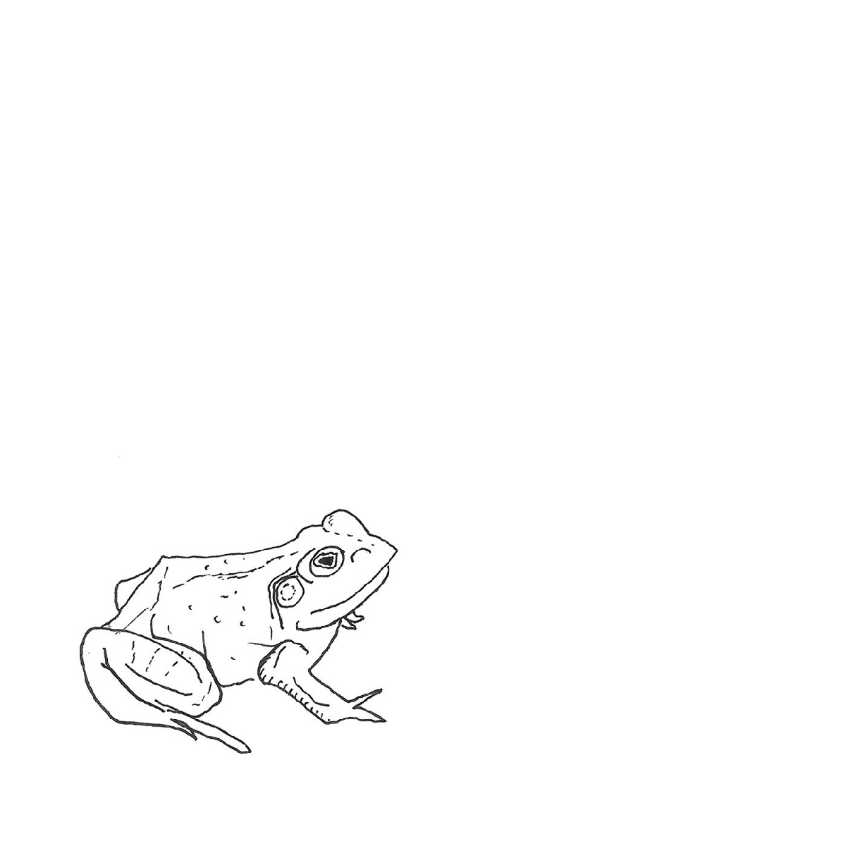 Bull Frogs Croon (Instrumental) - EP by Aoife O'Donovan & Eric Jacobsen album cover