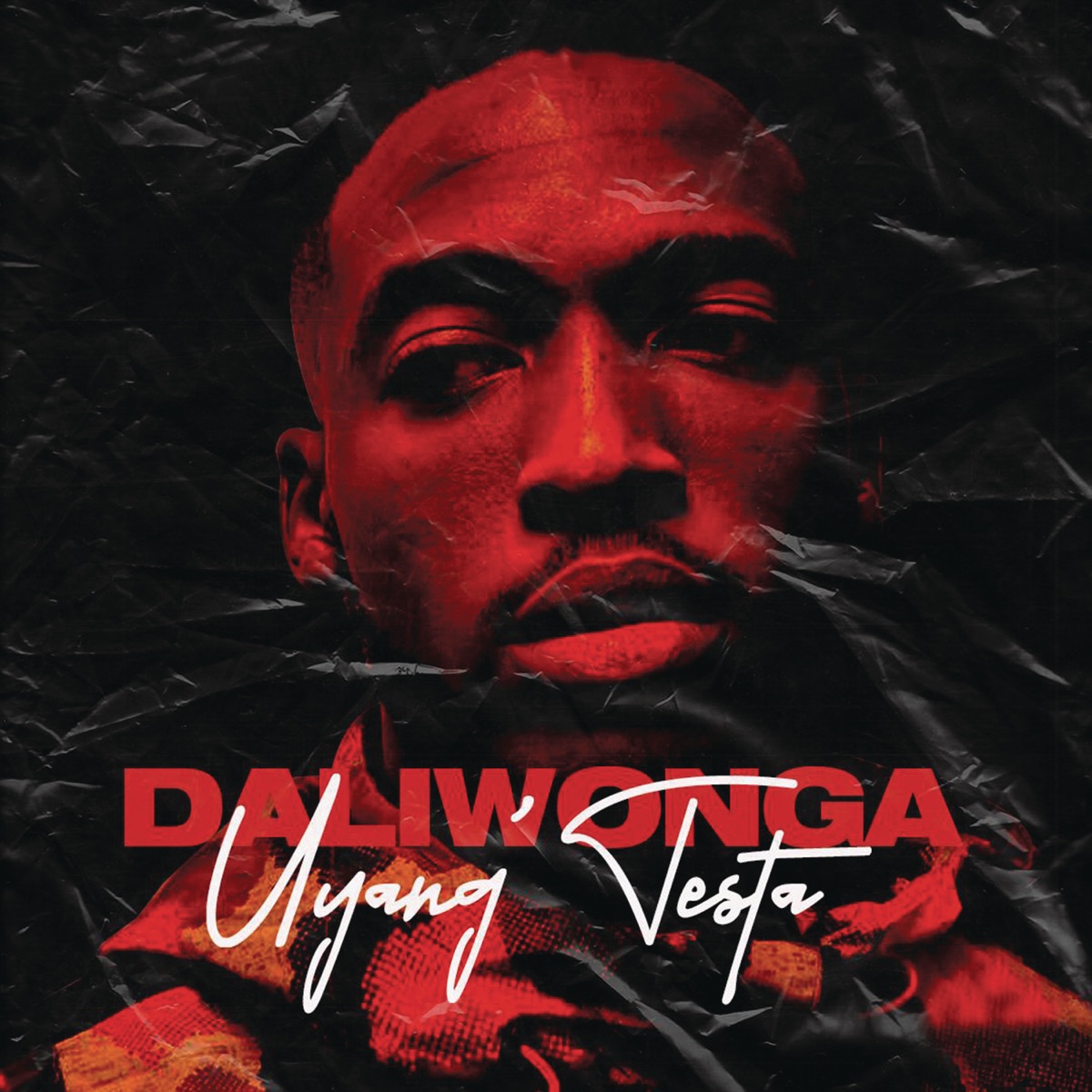 Uyang' Testa by Daliwonga album cover