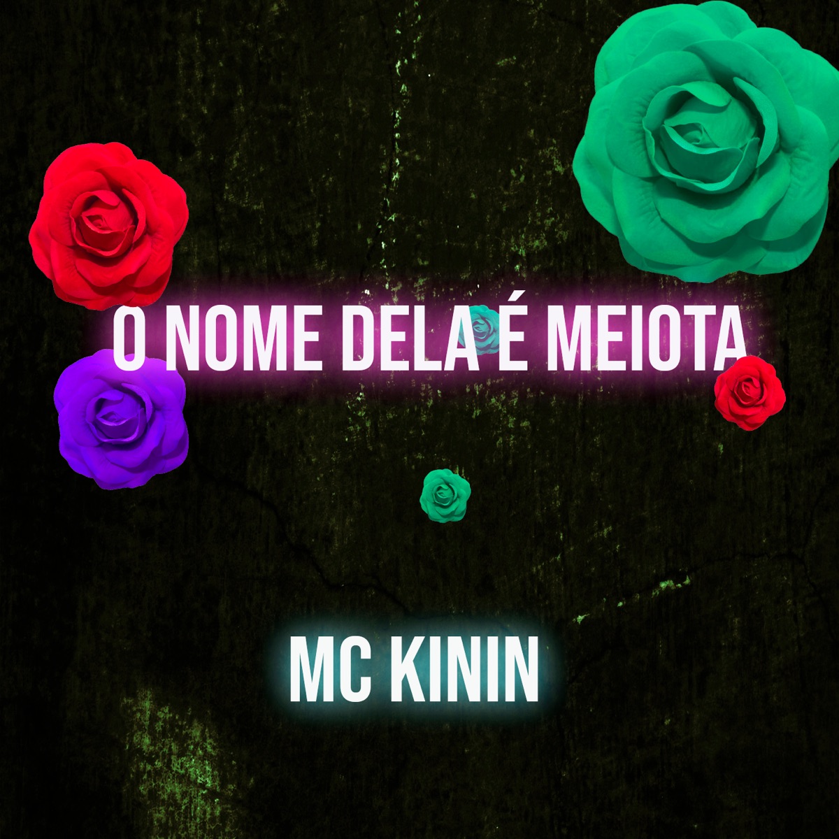 O Nome Dela é Meiota (feat. DJ Walter) - Single by Mc Kinin album cover