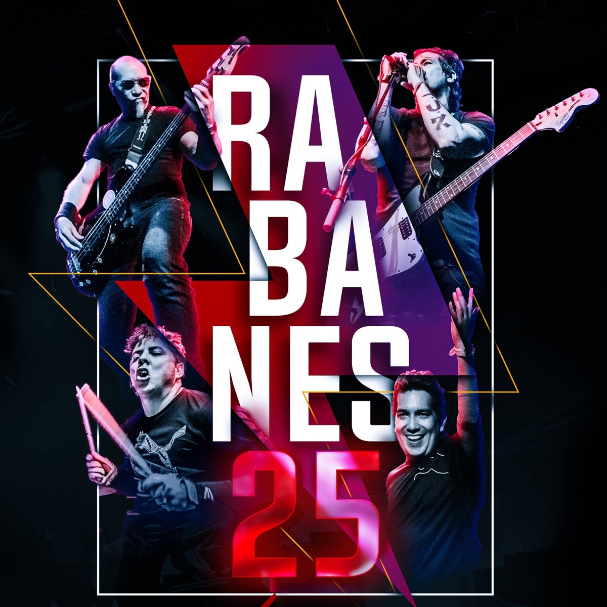 25 (Live) by Los Rabanes album cover