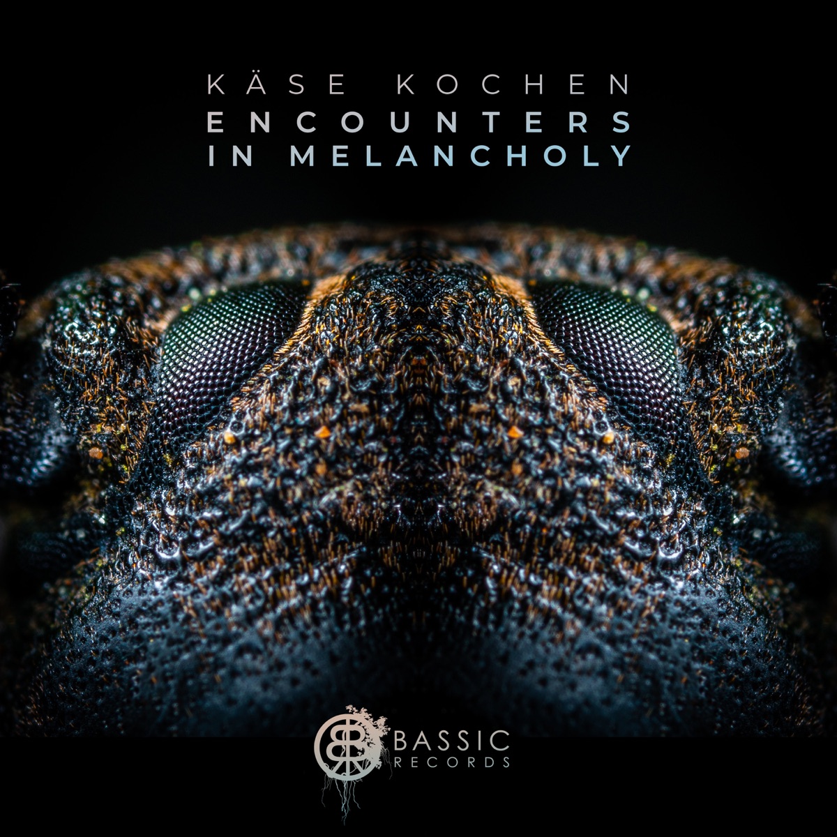 Encounters In Melancholy by Käse Kochen, Monotreme & Hohlraum album cover