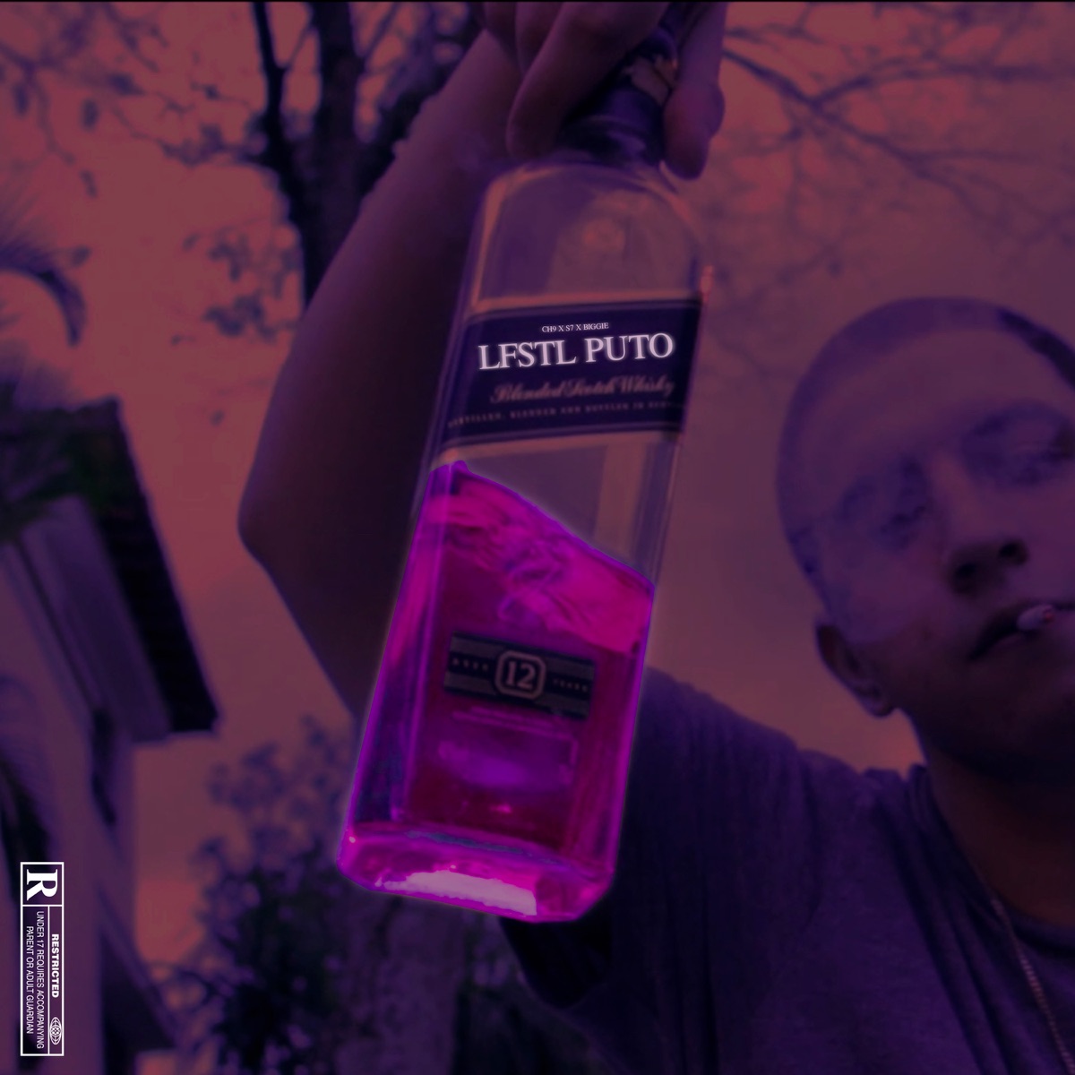 Lifestyle P**o - Single by CH9 Beatz, Biggie Diehl & S7lermo album cover