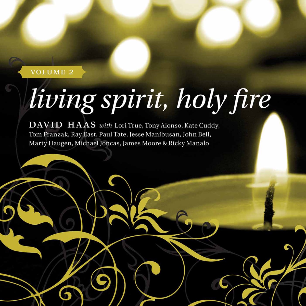 Haas: Living Spirit, Holy Fire, Vol. 2 by David Haas album cover