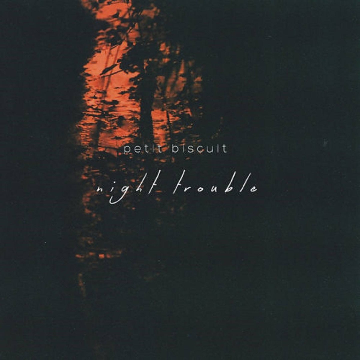 Night Trouble - Single by Petit Biscuit album cover