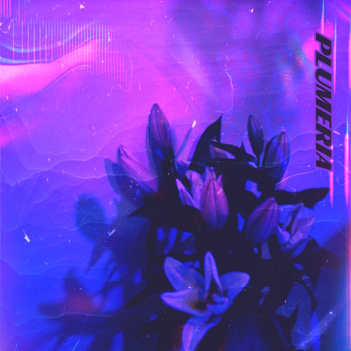 Plumeria - Single by Issjames album cover