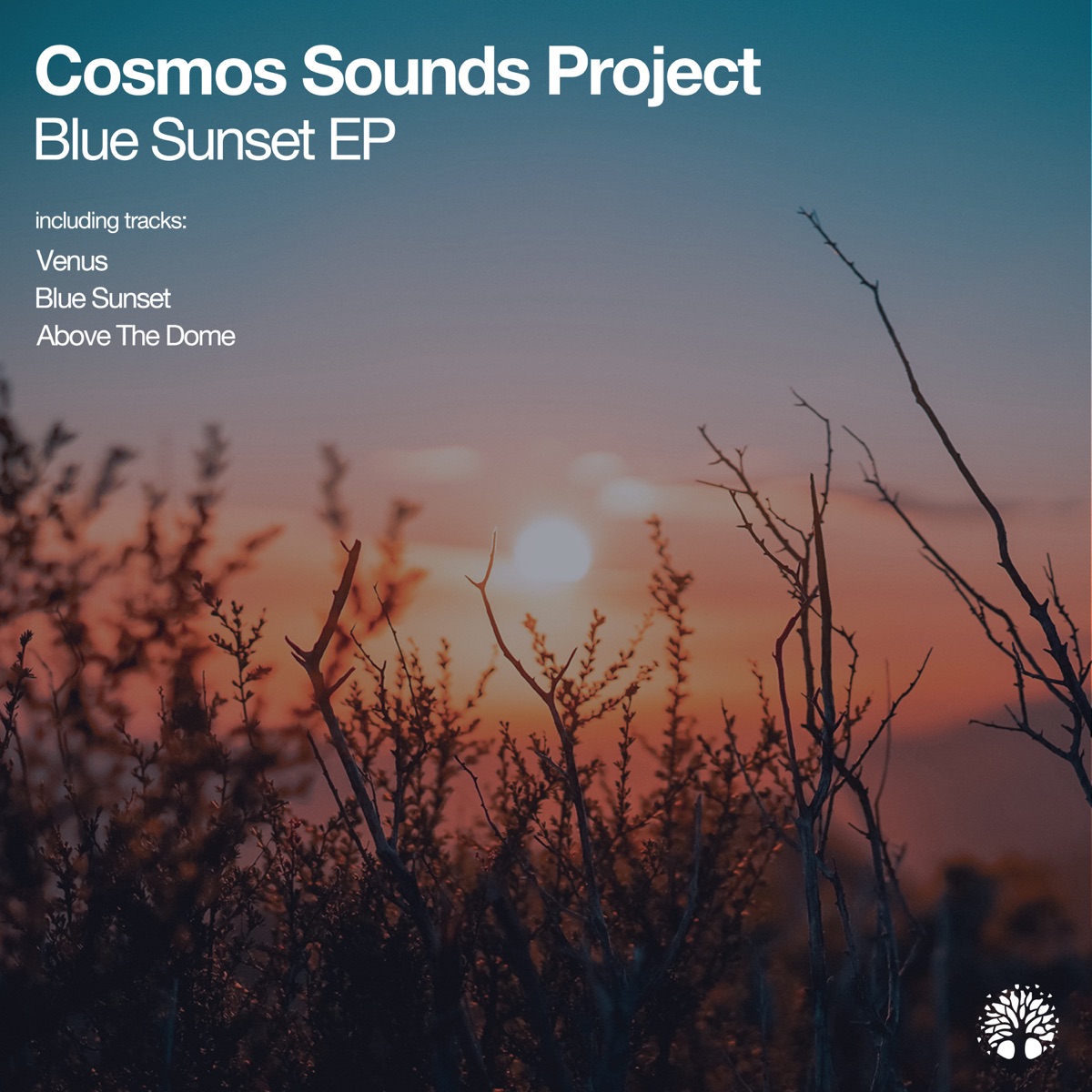 Blue Sunset - Single by Cosmos Sounds Project album cover