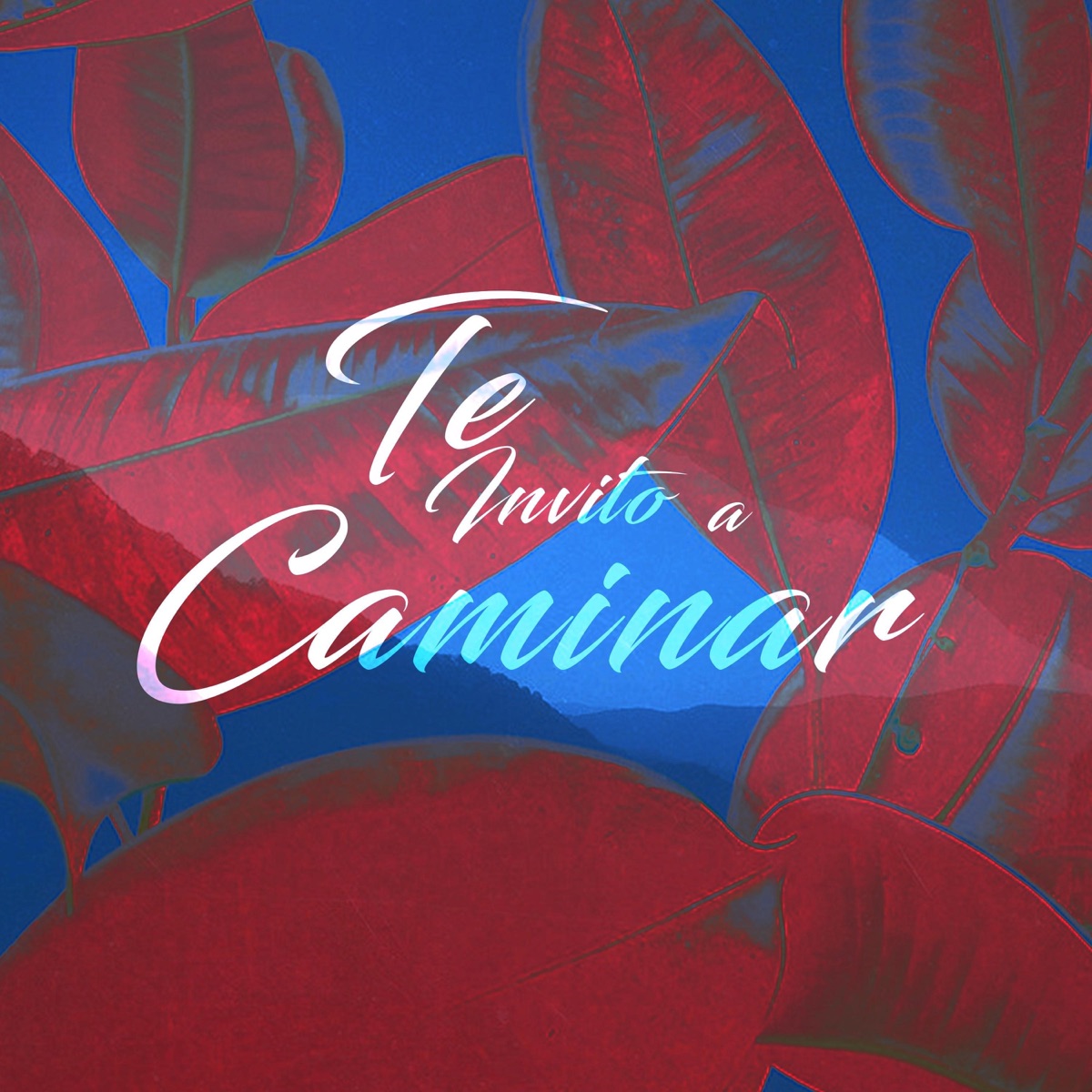 Te Invito a Caminar - Single by Og Records Mx & Nedel album cover