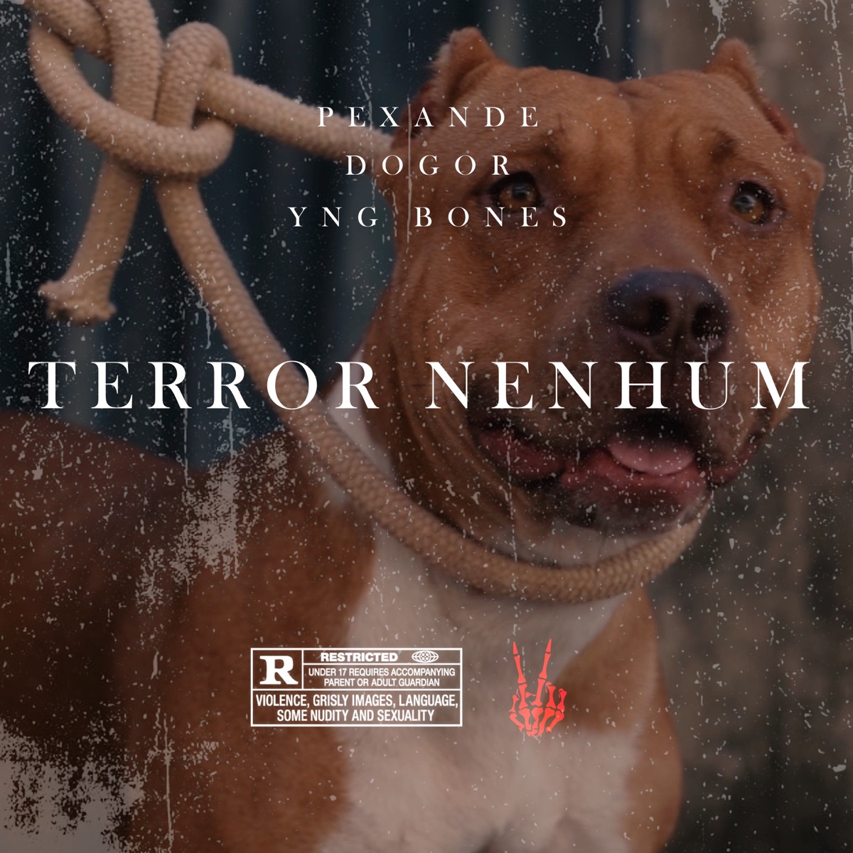 Terror Nenhum - Single by Pexande, Dogor & YNG Bones album cover