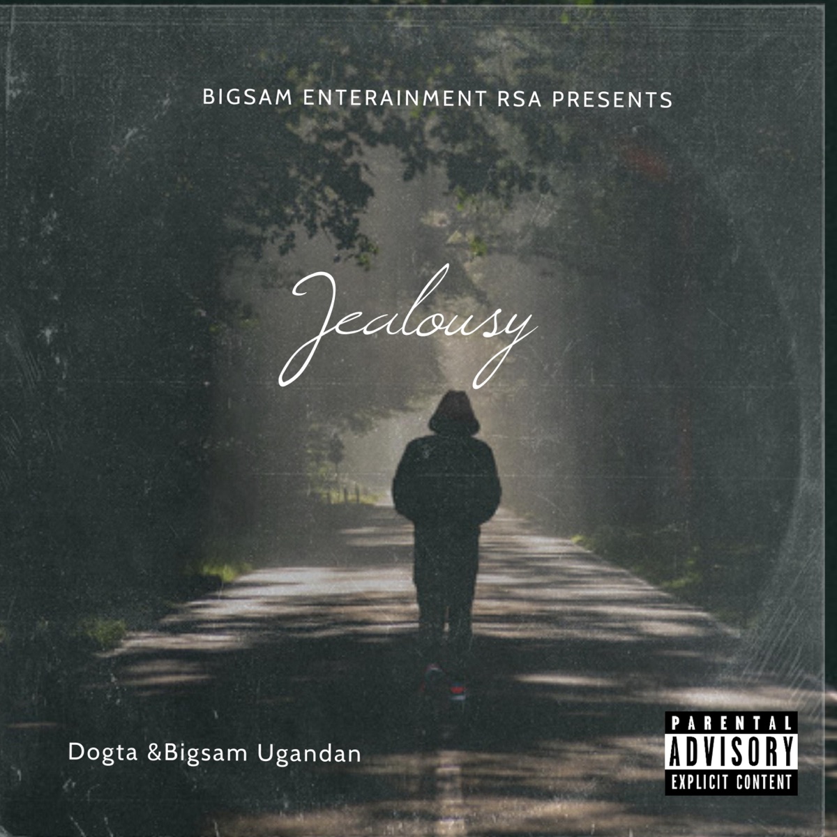 Jealousy (feat. Dogta & Bigsam Ugandan) - Single by Bigsam Entertainment Rsa album cover