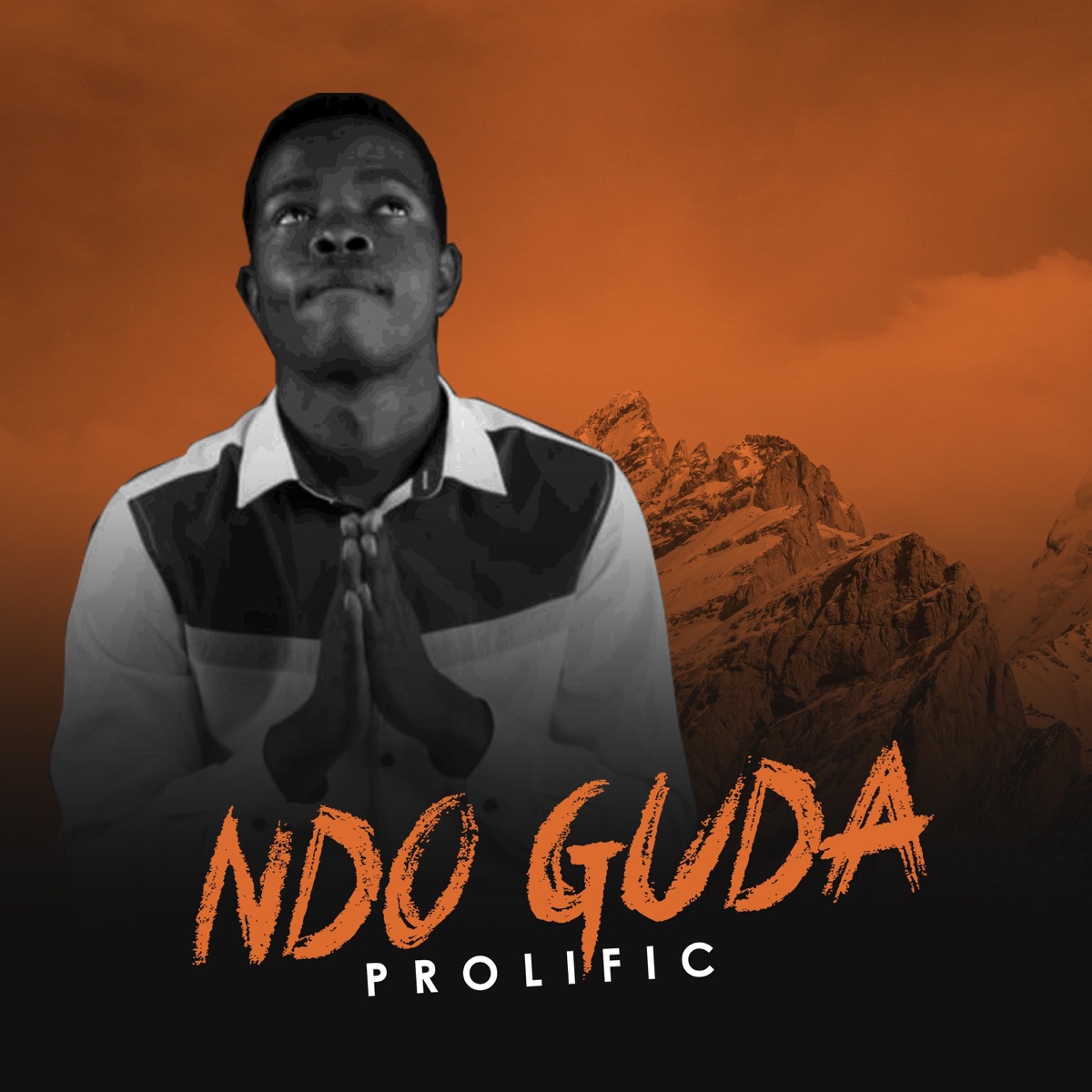 Ndo Guda by Prolific RSA album cover