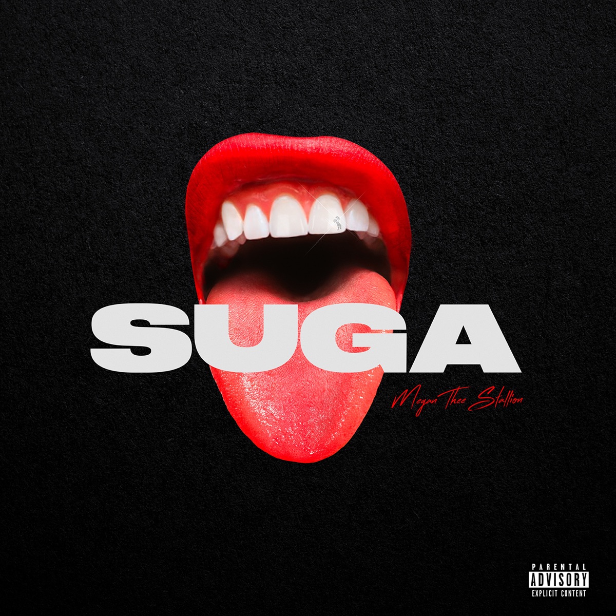 Suga by Megan Thee Stallion album cover