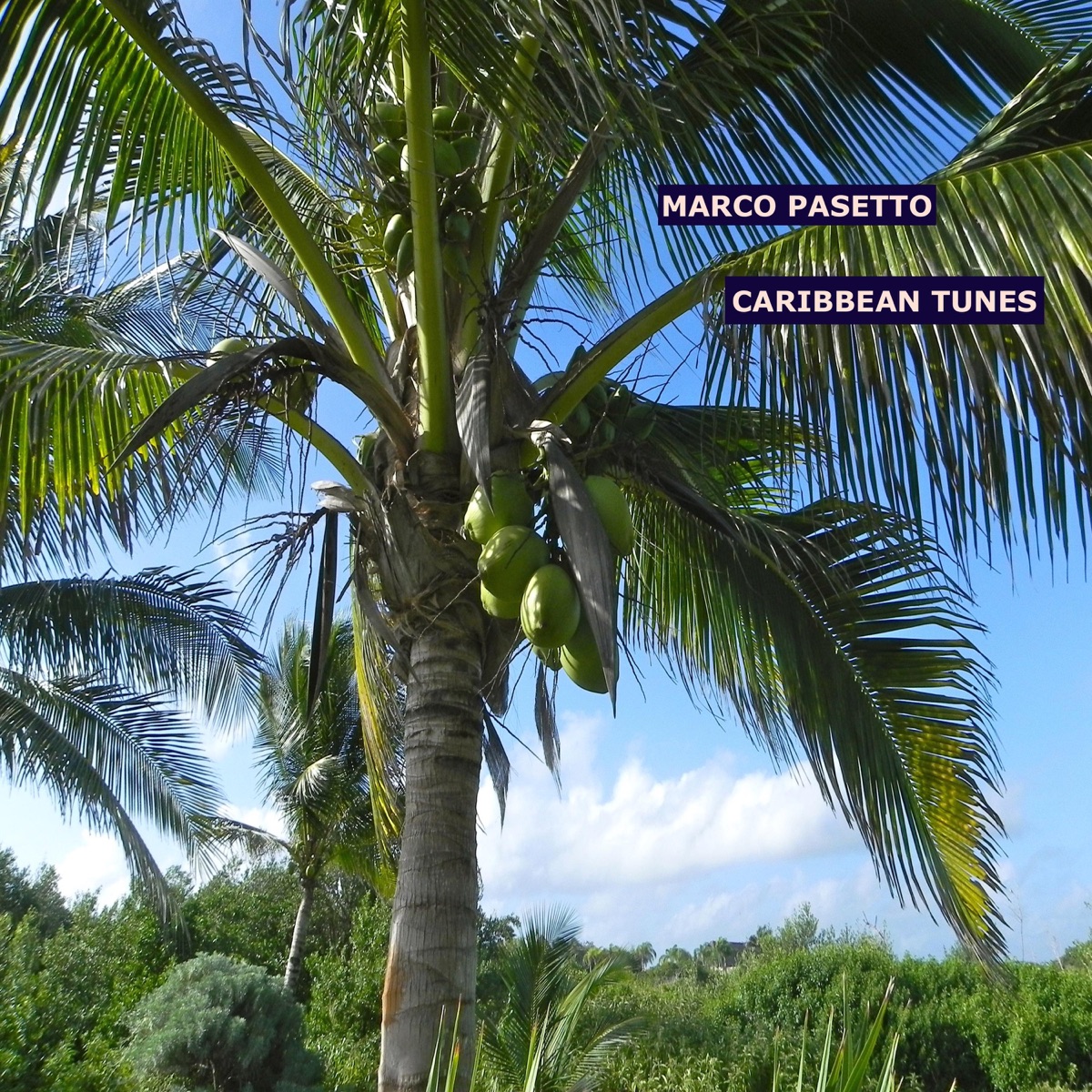 Caribbean Tunes by Marco Pasetto album cover