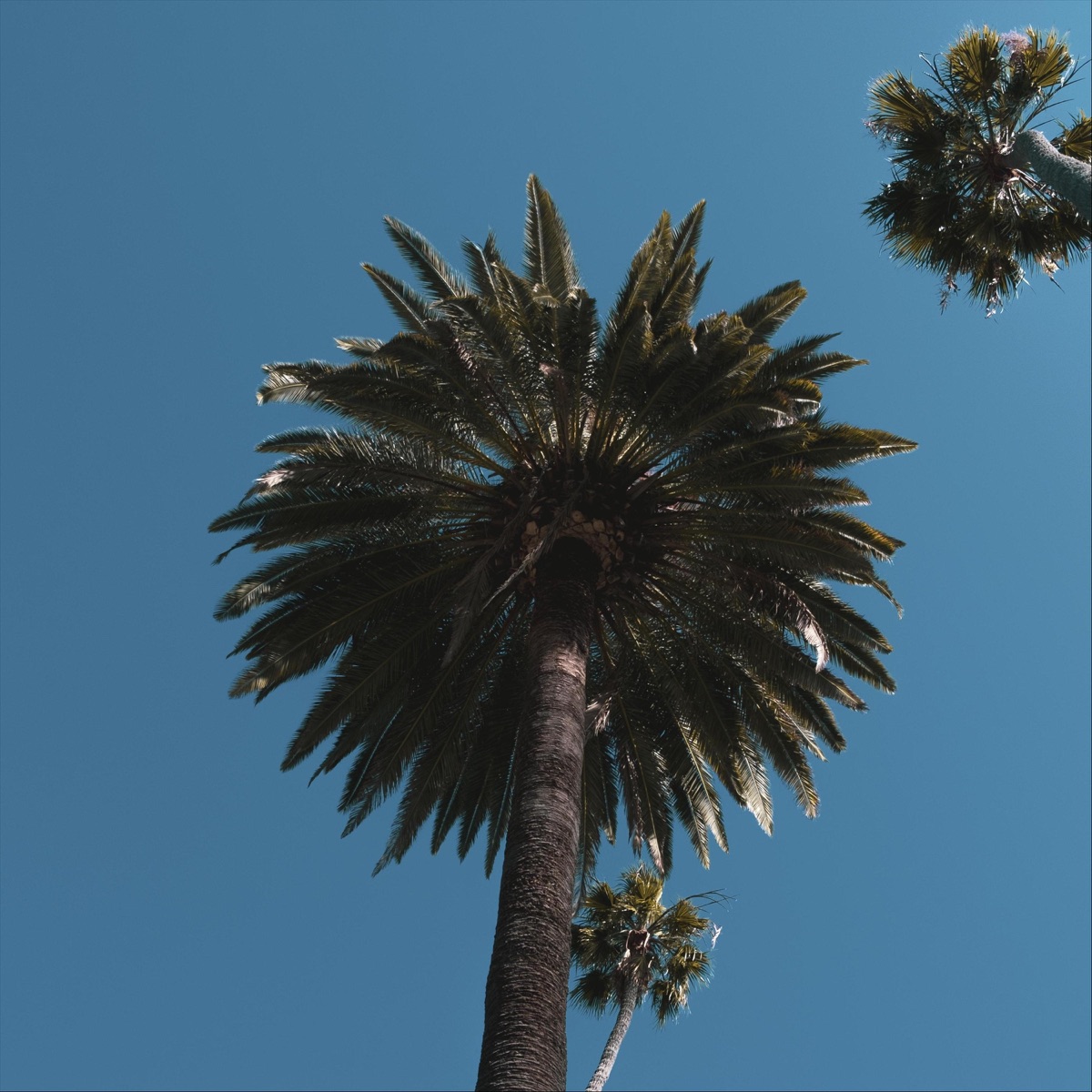 Struck Again (feat. Kiddo Ai) - Single by Oliver Bloom & Samme album cover