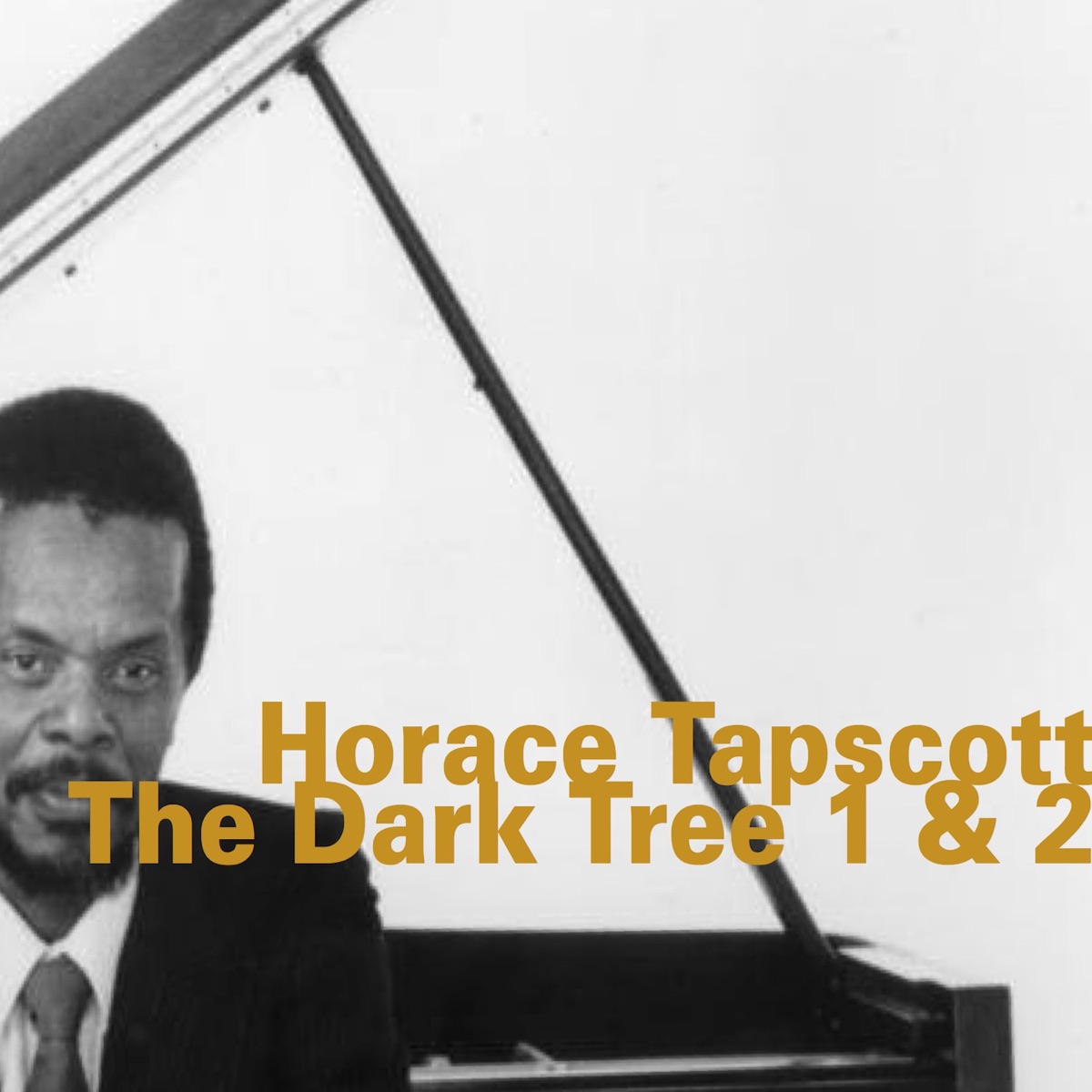 The Dark Tree 1 & 2 (feat. John Carter, Cecil McBee & Andrew Cyrille) by Horace Tapscott album cover