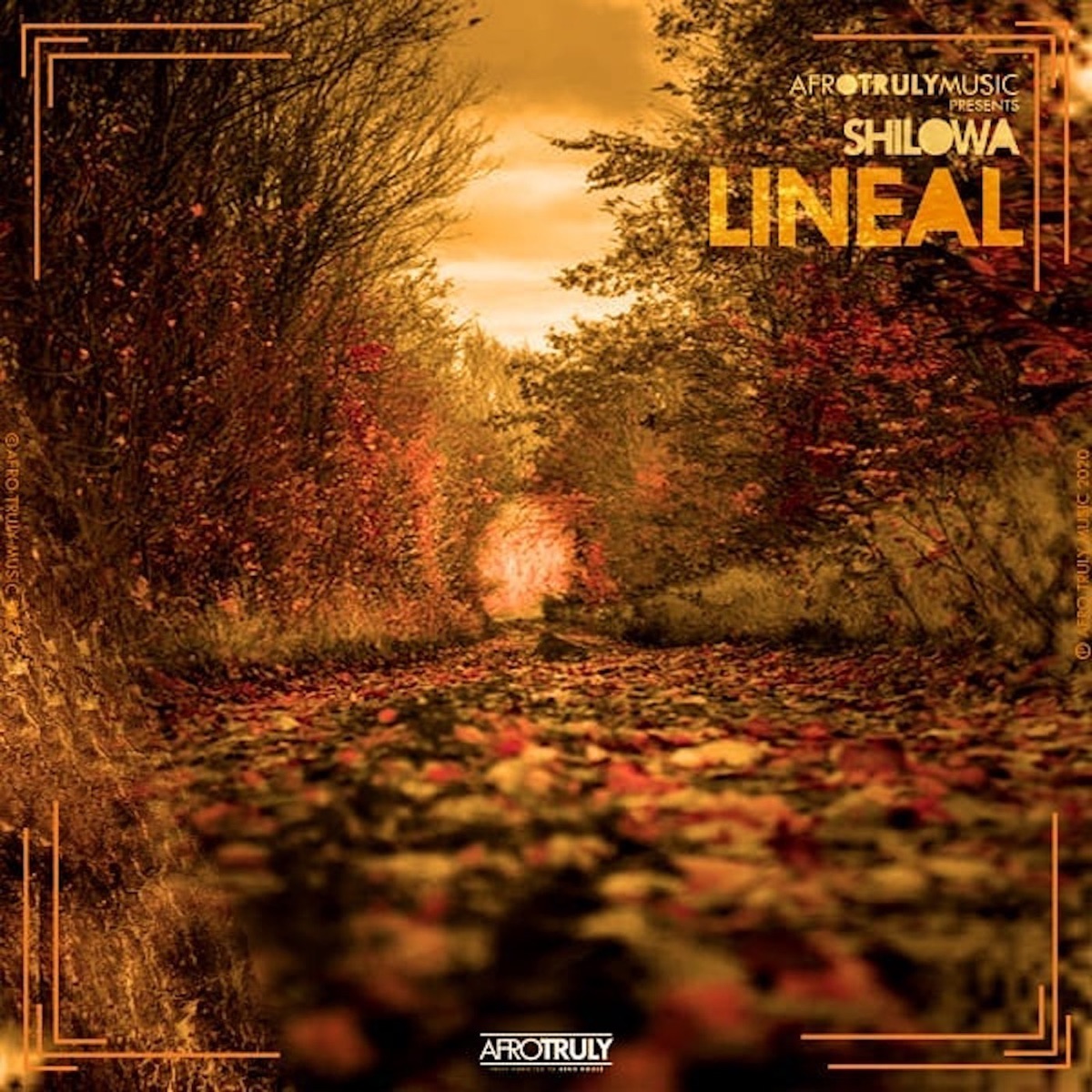 Lineal - Single by Shilowa album cover