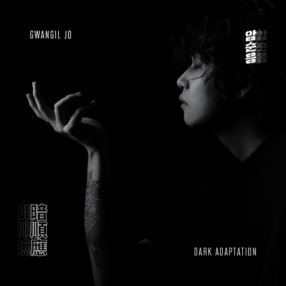 Dark Adaptation by Gwang-il Jo album cover