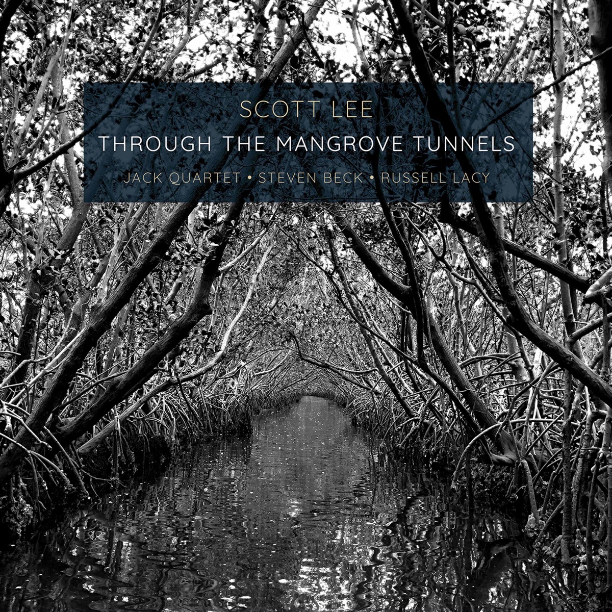 Scott Lee: Through the Mangrove Tunnels by JACK Quartet, Steven Beck & Russell Lacy album cover