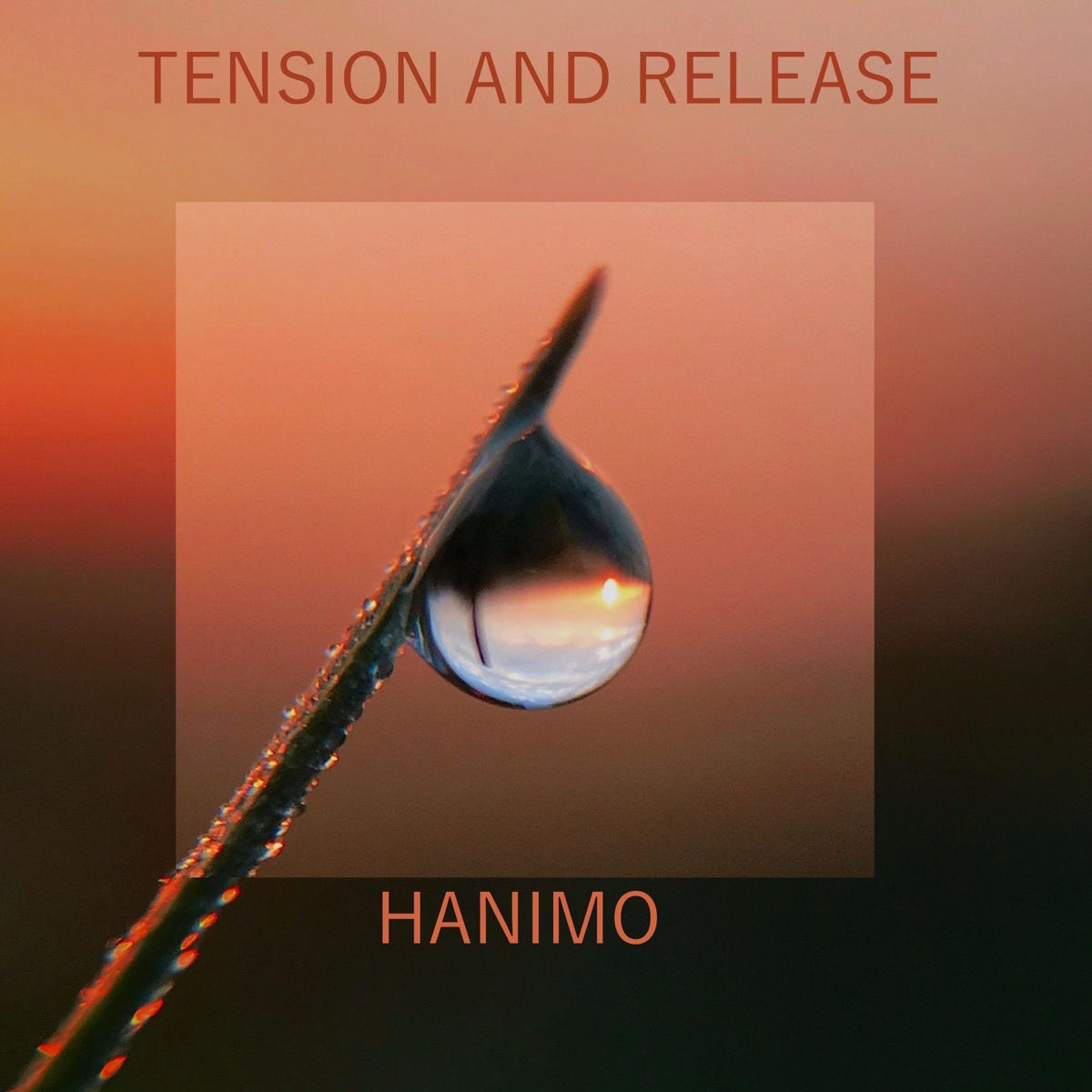 Tension and Release - Single by Hanimo album cover