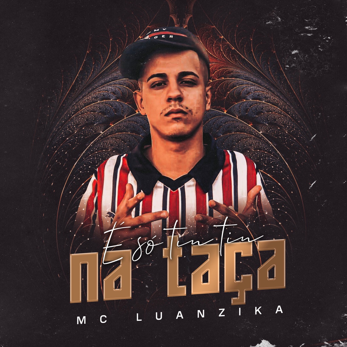 É Só Tin Tin Na Taça - Single by Mc Luanzika album cover